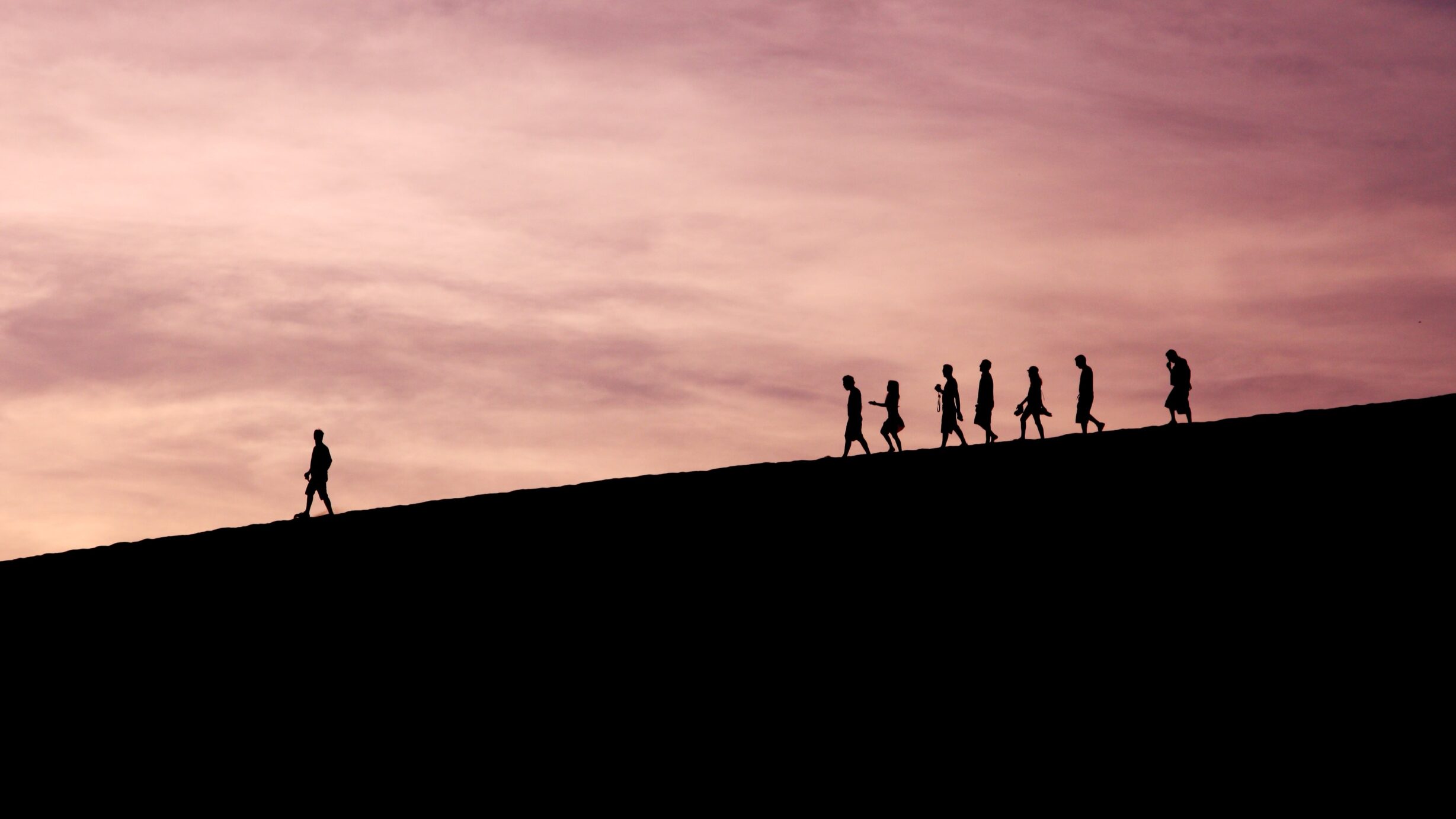 Đám đông có thể sai, vì sao con người vẫn nghe theo? Nghiên cứu hé lộ lý do - Ảnh 3.