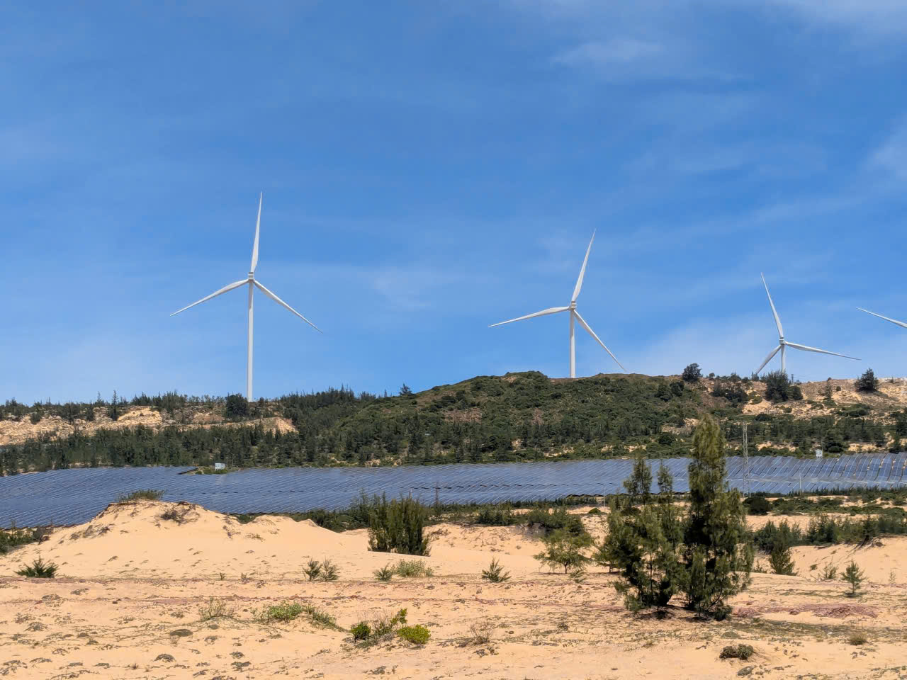 điện gió - Ảnh 1.