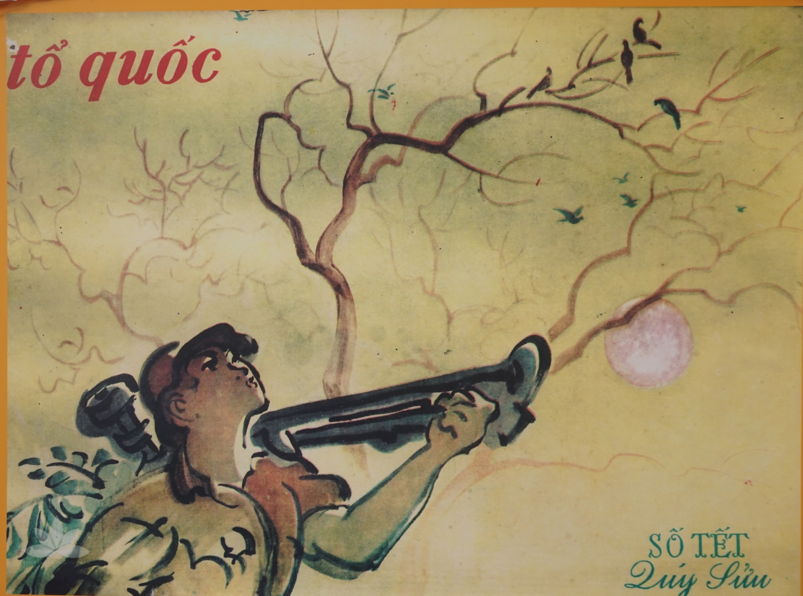 Bìa báo xuân - Ảnh 5.