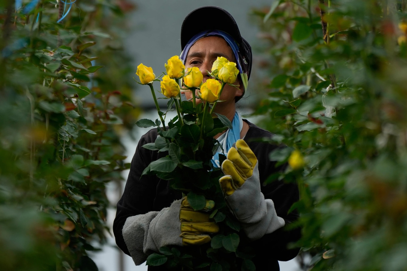 Tin tức thế giới 5-2: - Ảnh 1.