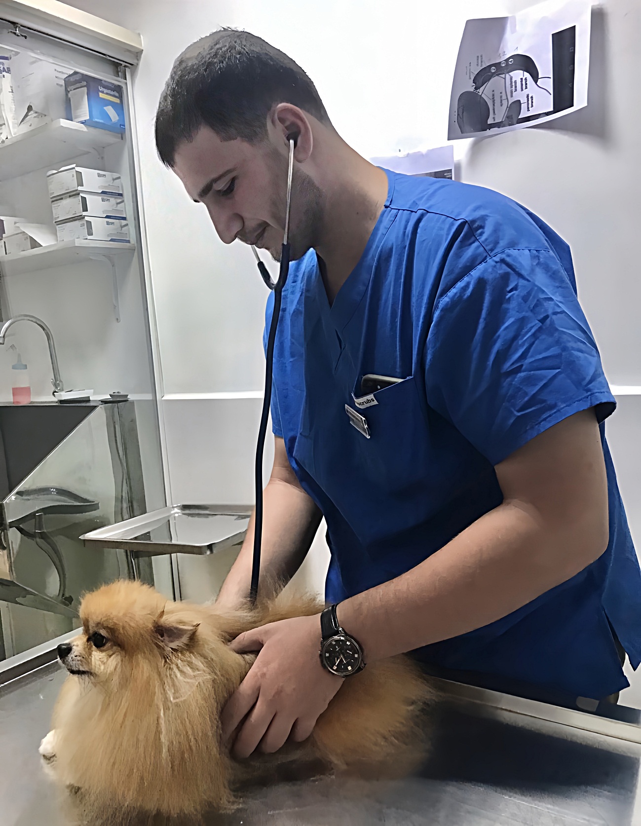 sinh viên quốc tế - Ảnh 1.