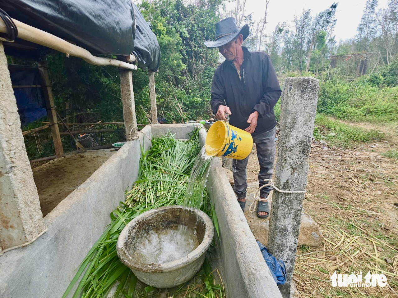 ngựa đua - Ảnh 4.