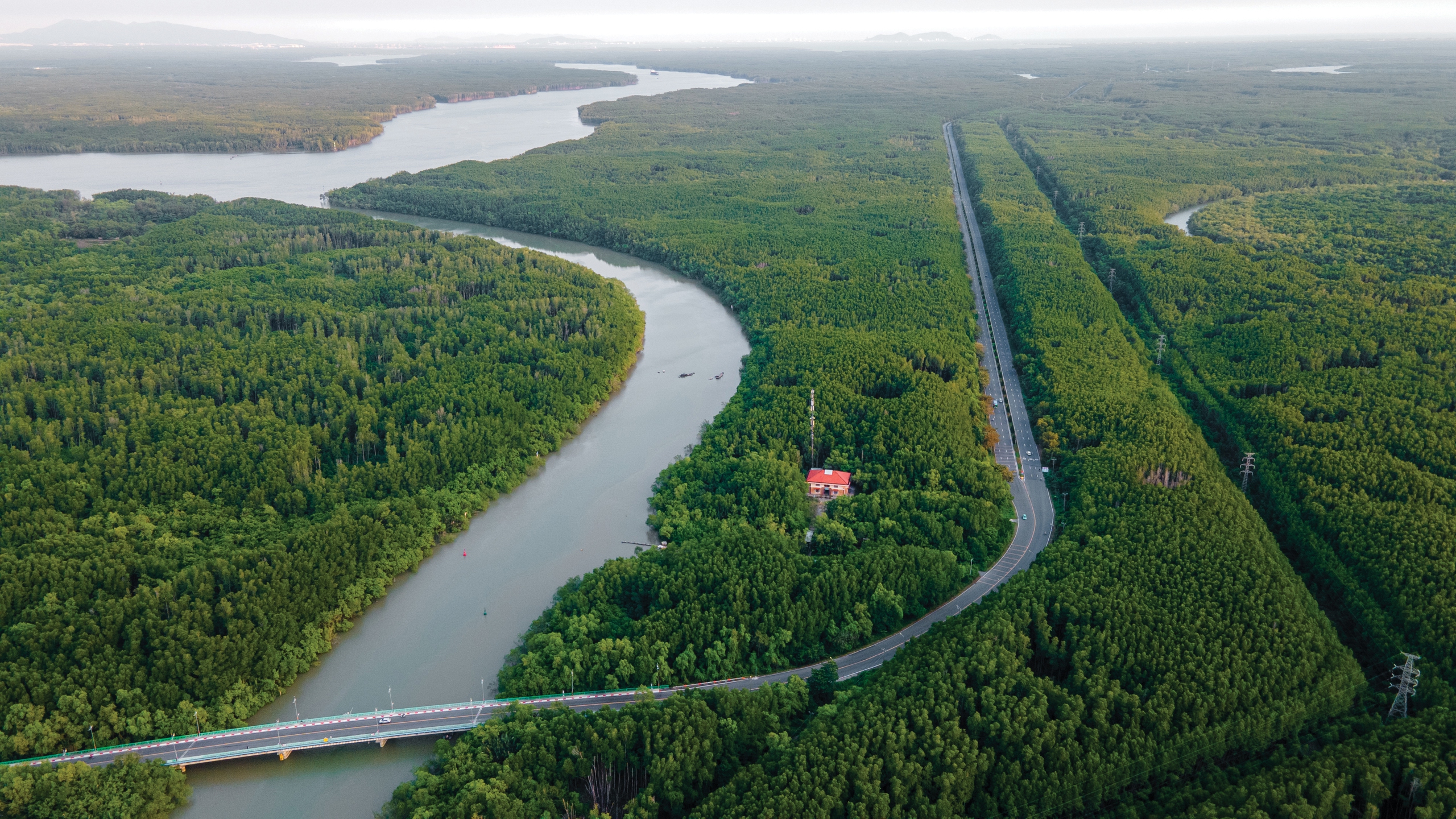tương lai - Ảnh 6.