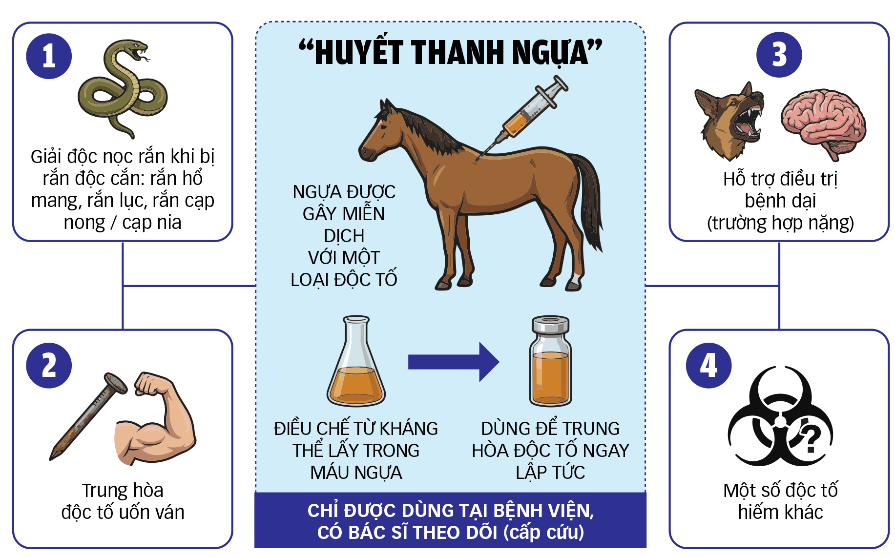 y học - Ảnh 1.