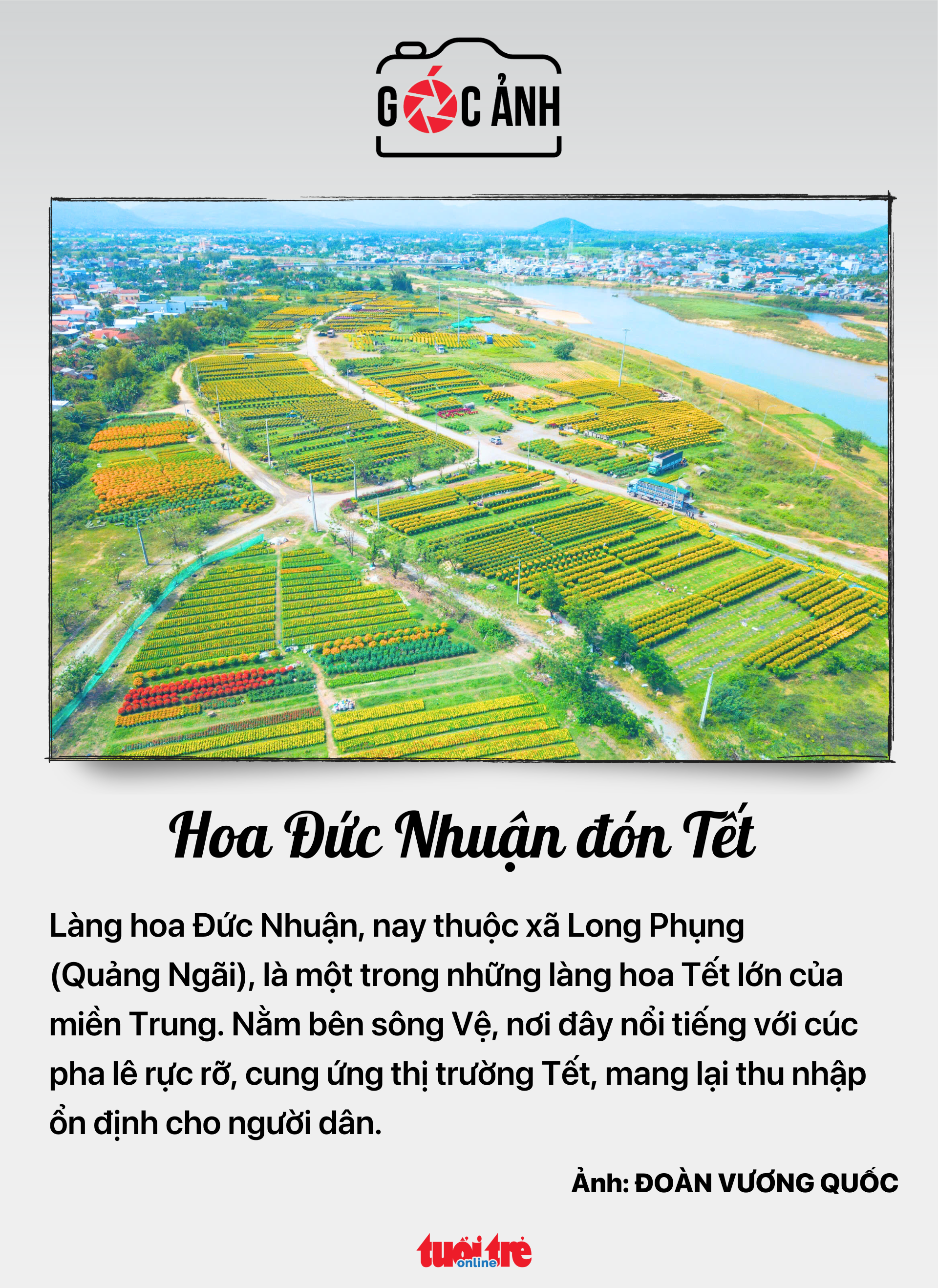 tin tức - Ảnh 8.