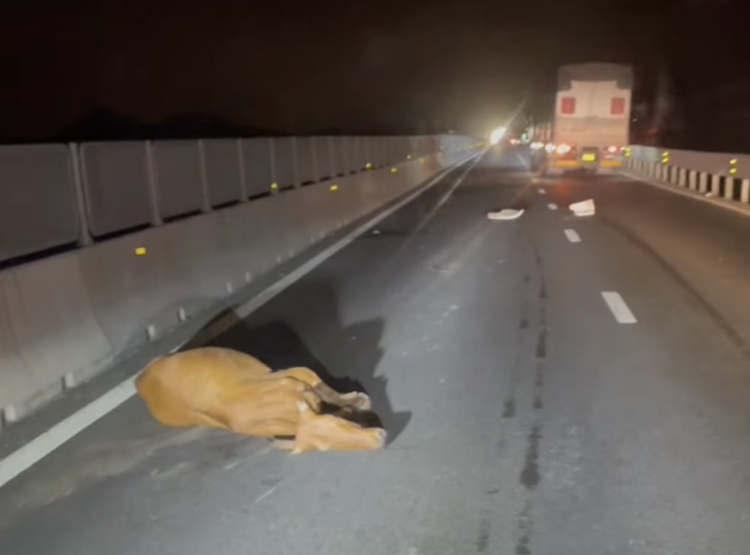 Vĩnh Hảo - Phan Thiết - Ảnh 1.