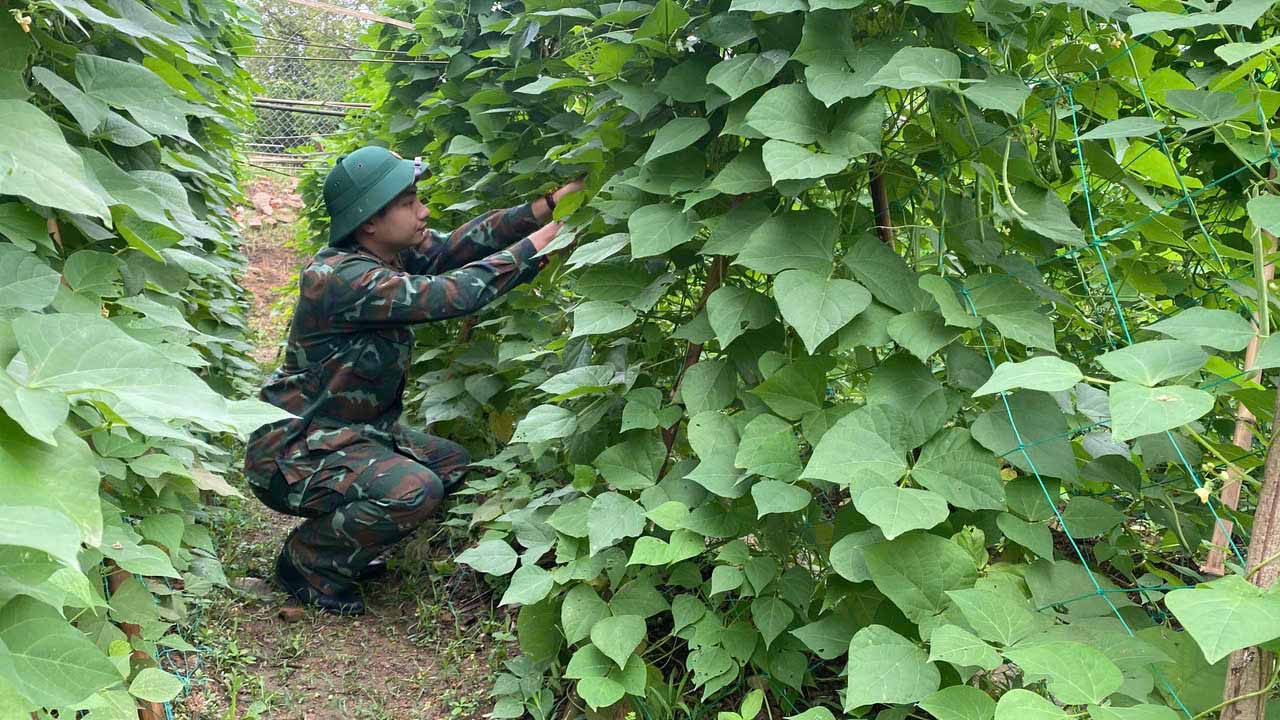 bộ đội - Ảnh 1.