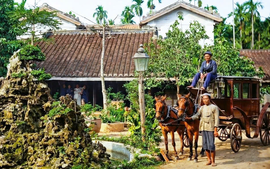 Hành trình thuần hóa ngựa: Từ chiến mã lịch sử đến bạn đồng hành của con người