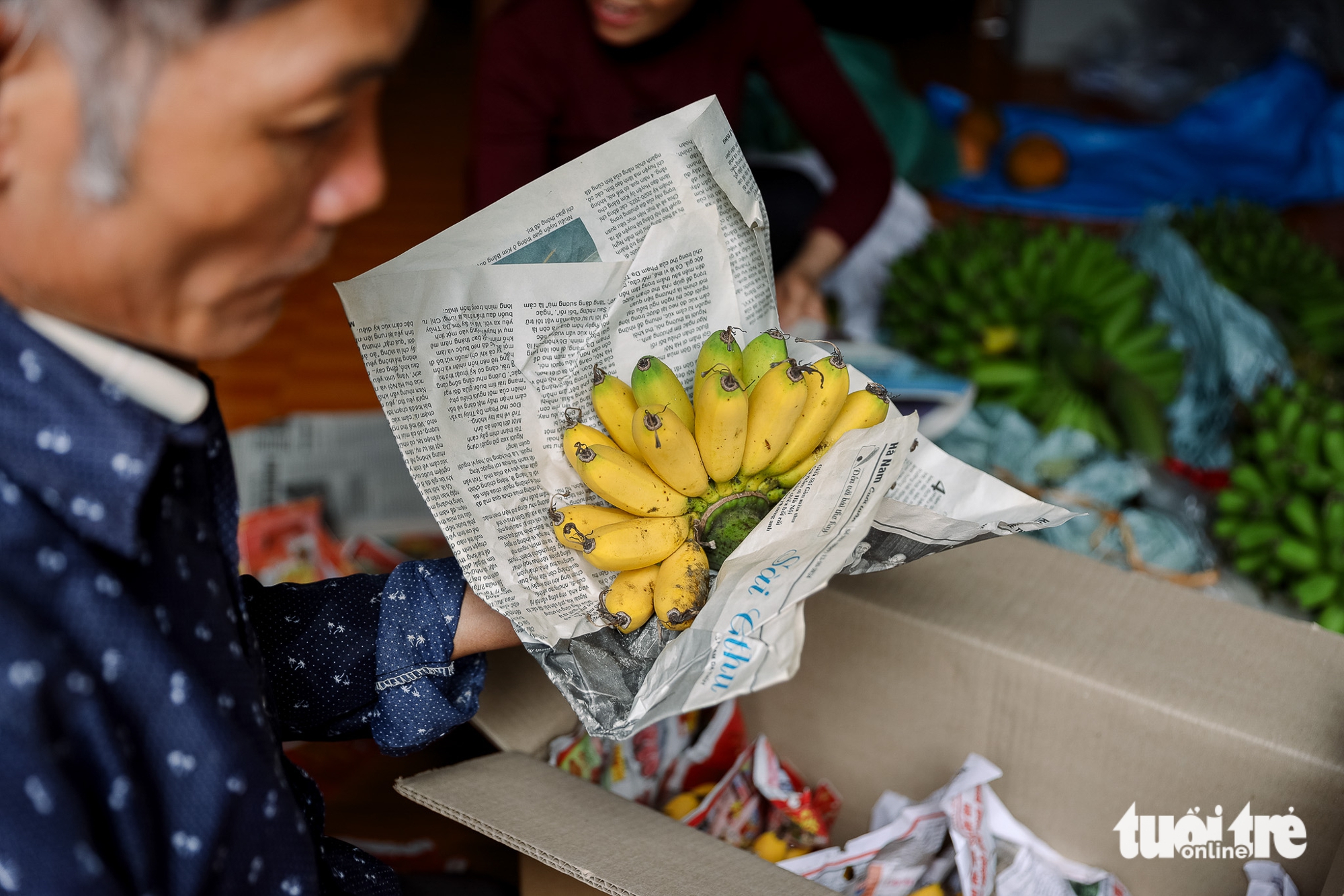 Thăm làng Đại Hoàng trồng 'chuối tiến vua' lừng danh, cây mới trổ hoa đã có người đặt mua - Ảnh 4.