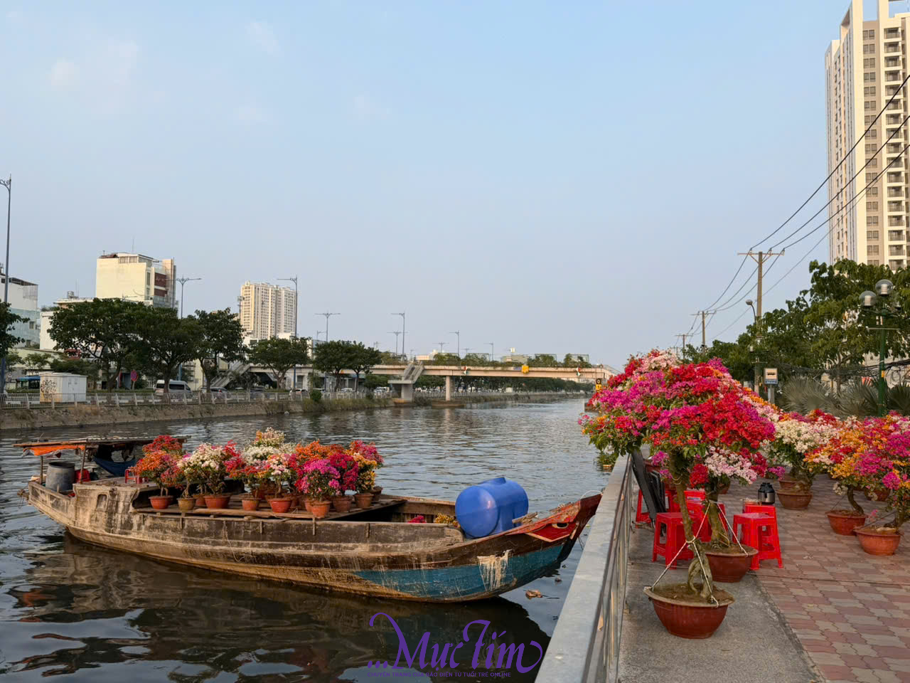 Người dân tham quan mua sắm sớm tại chợ hoa xuân 'Trên bến dưới thuyền'- Ảnh 1.