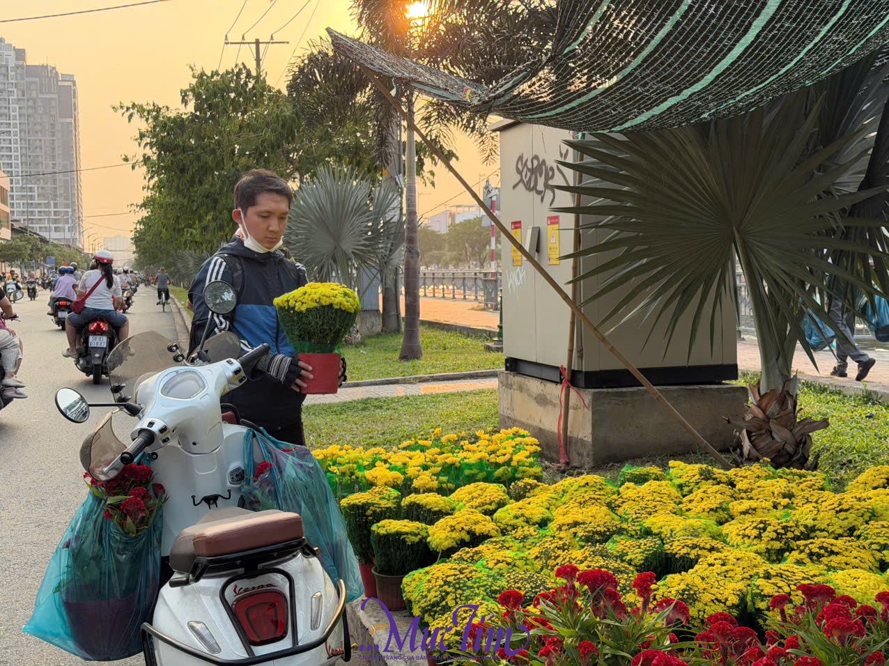 Người dân tham quan mua sắm sớm tại chợ hoa xuân 'Trên bến dưới thuyền'- Ảnh 2.