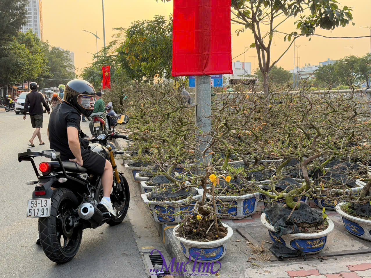 Người dân tham quan mua sắm sớm tại chợ hoa xuân 'Trên bến dưới thuyền'- Ảnh 3.