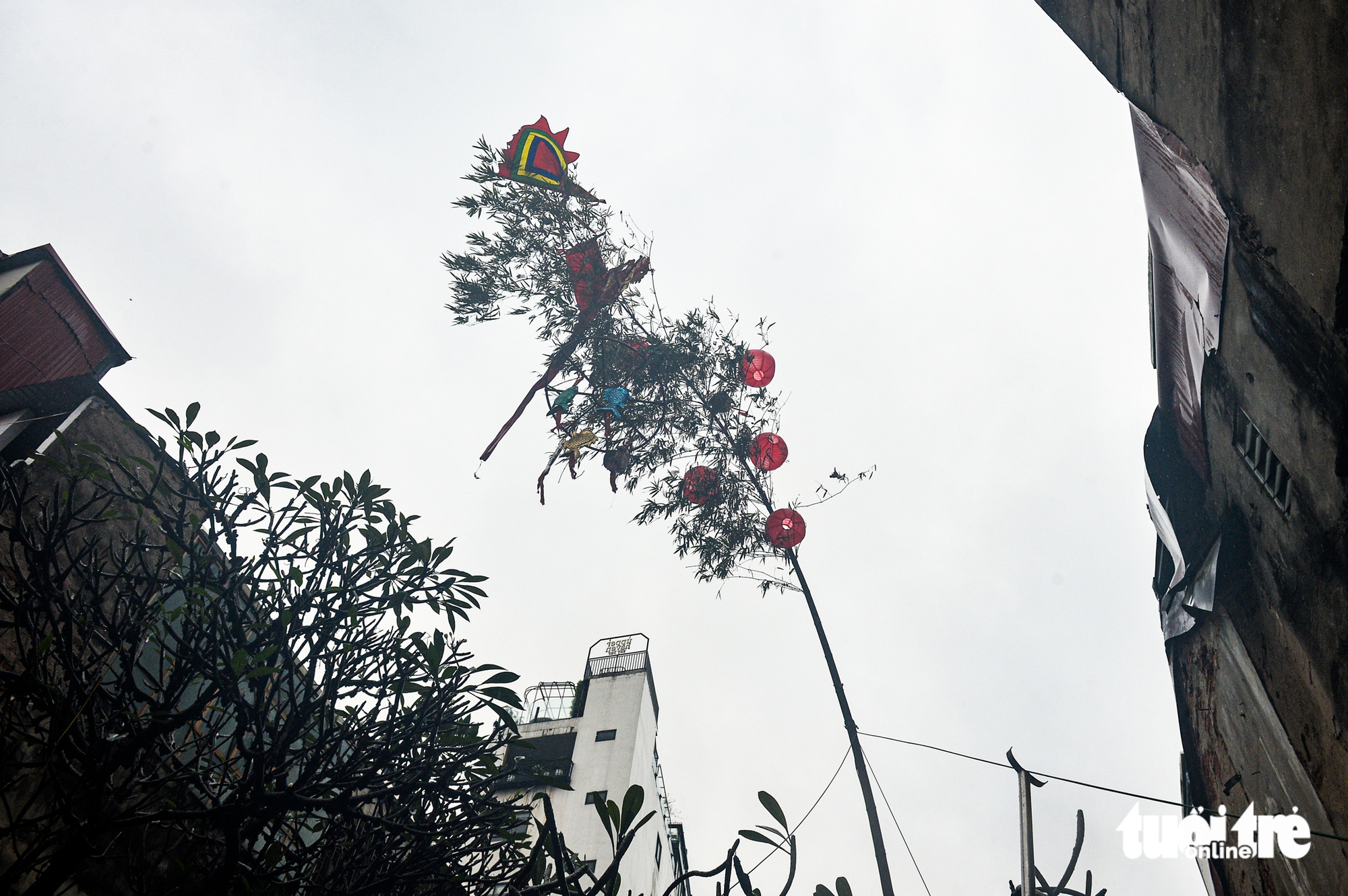 Lễ Mở cửa Ô - Ảnh 14.