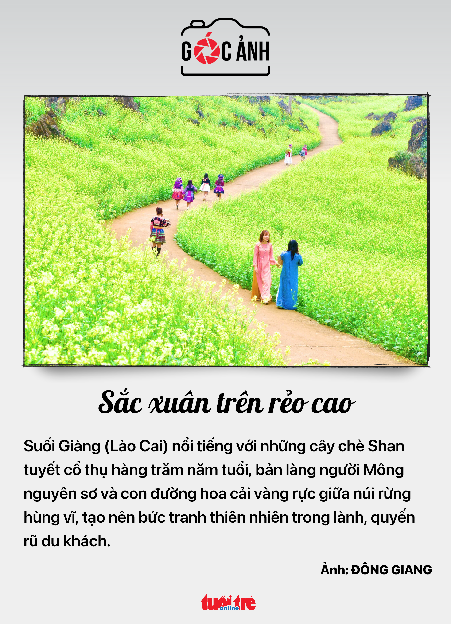 thế giới di động - Ảnh 7.