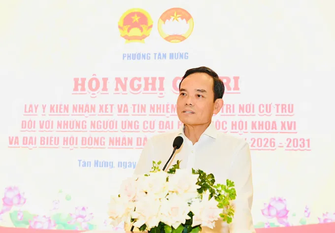 Trần Lưu Quang - Ảnh 1.