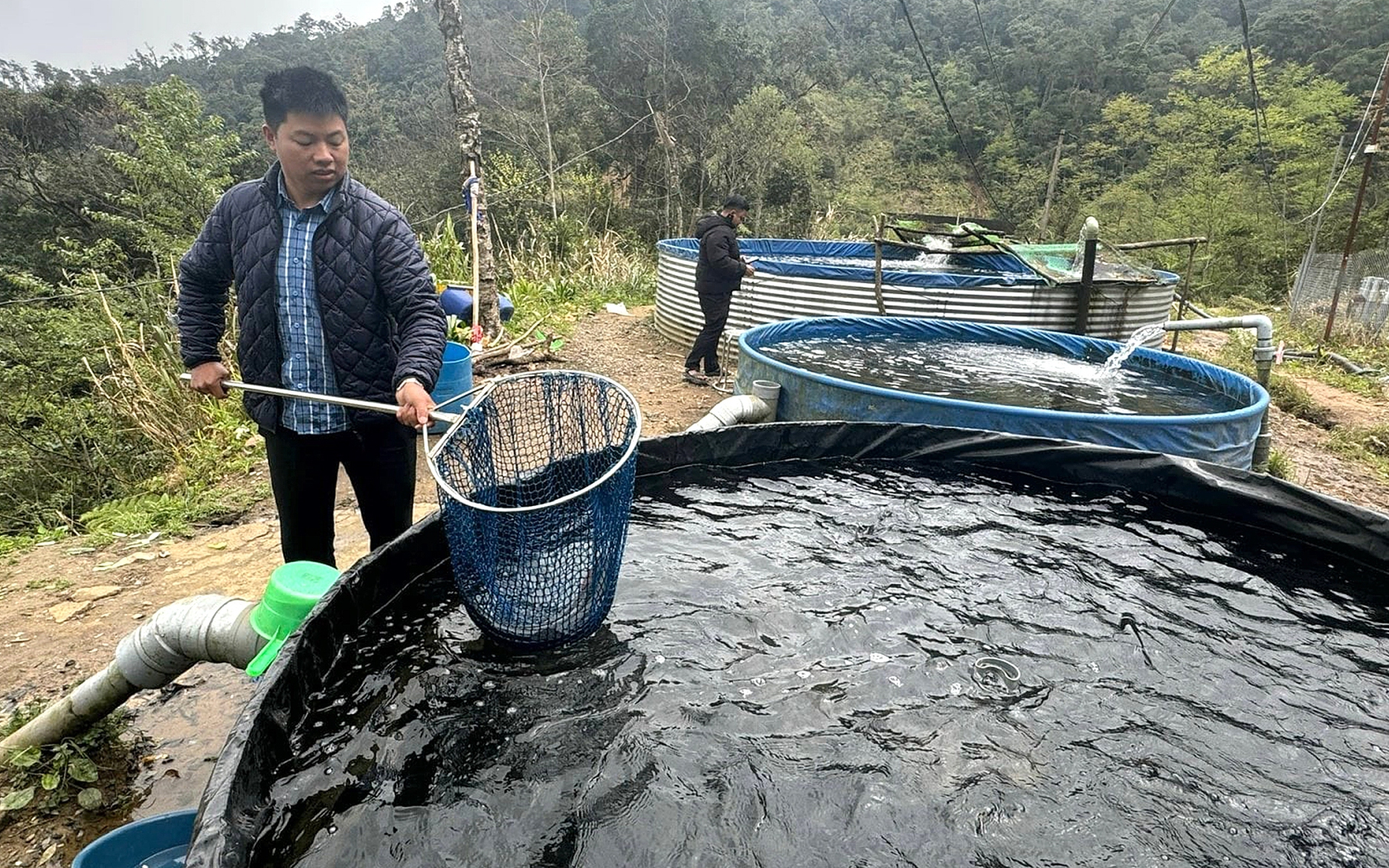 Thanh niên miền Bắc lập trang trại cá hồi, cá tầm thành công tại Đà Nẵng