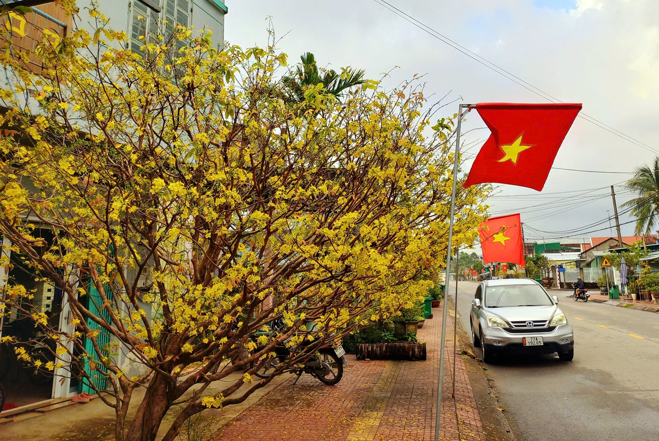 lái xe về quê - Ảnh 1.