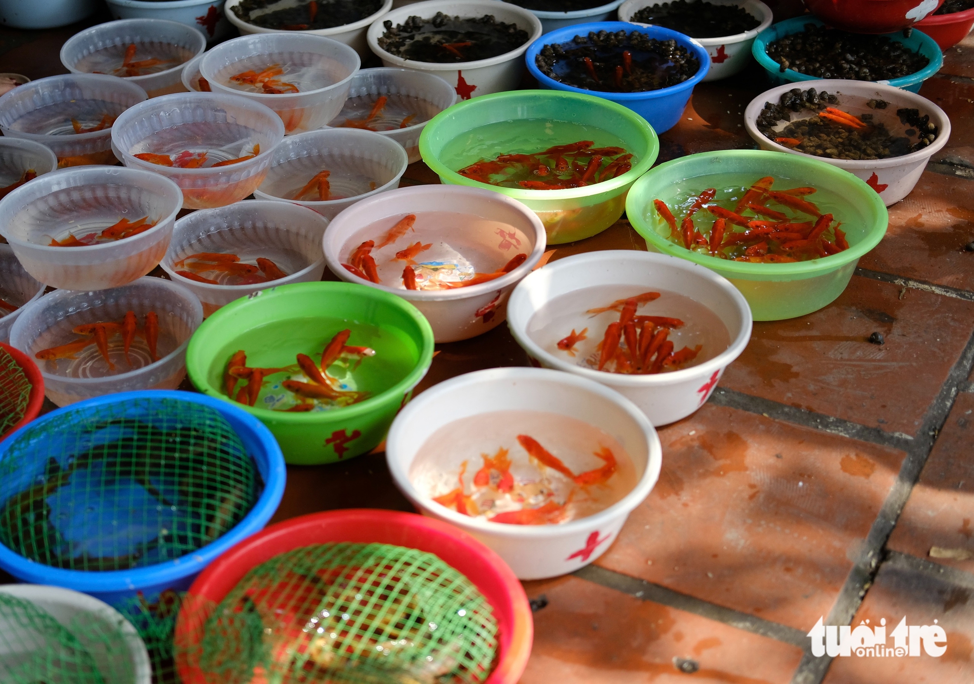 Phủ Tây Hồ đông đặc người trước rằm tháng giêng - Ảnh 10.