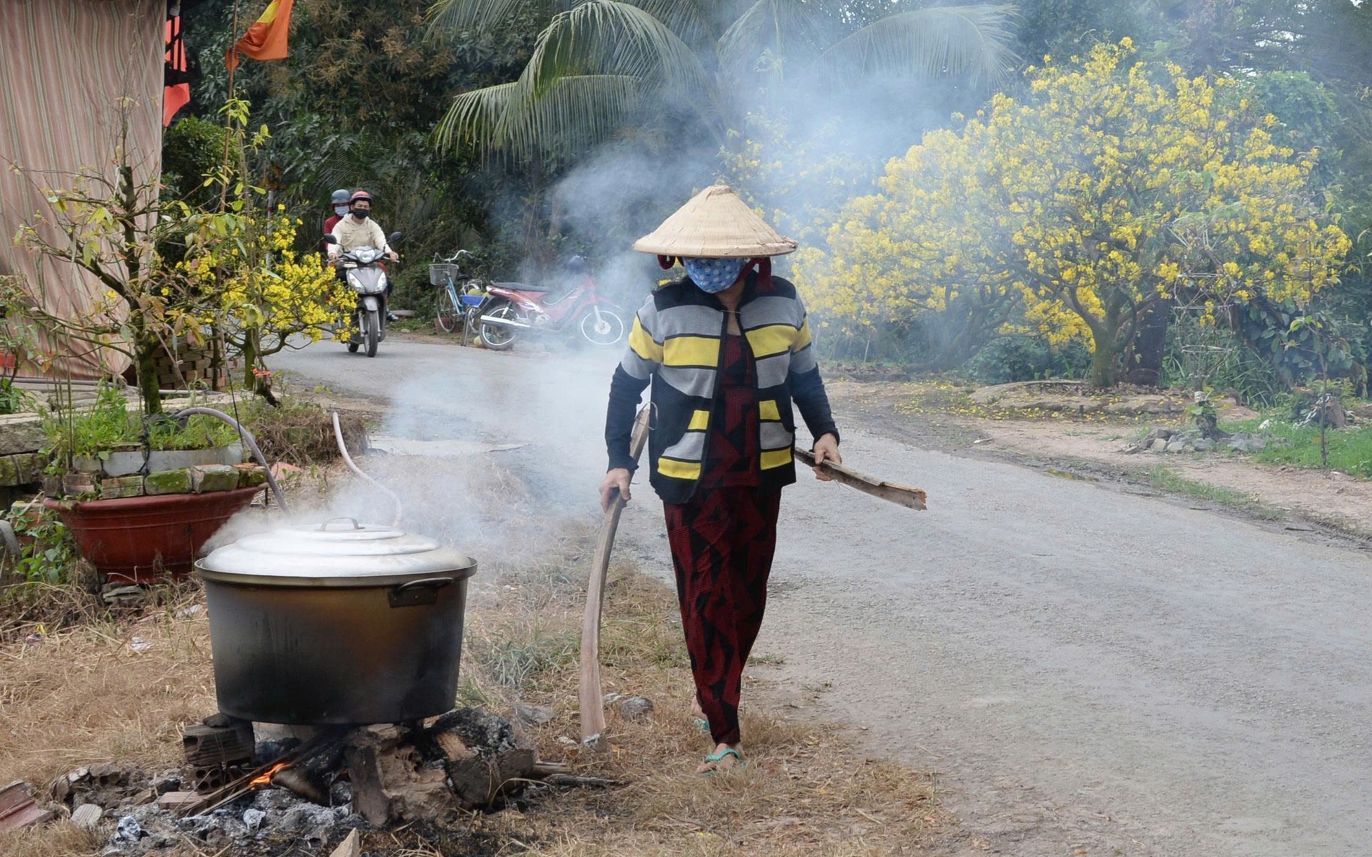 Hoa Muộn Cho Mẹ: Những Bông Hoa Của Sự Hy Sinh Và Tình Yêu Thầm Lặng