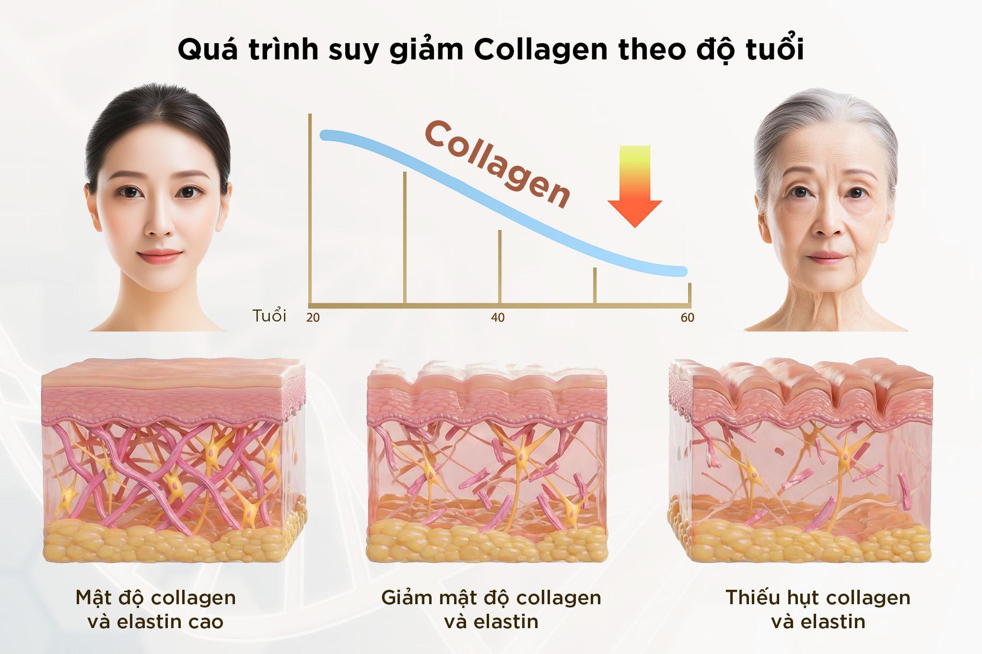 Sắc Ngọc Khang - Ảnh 3.