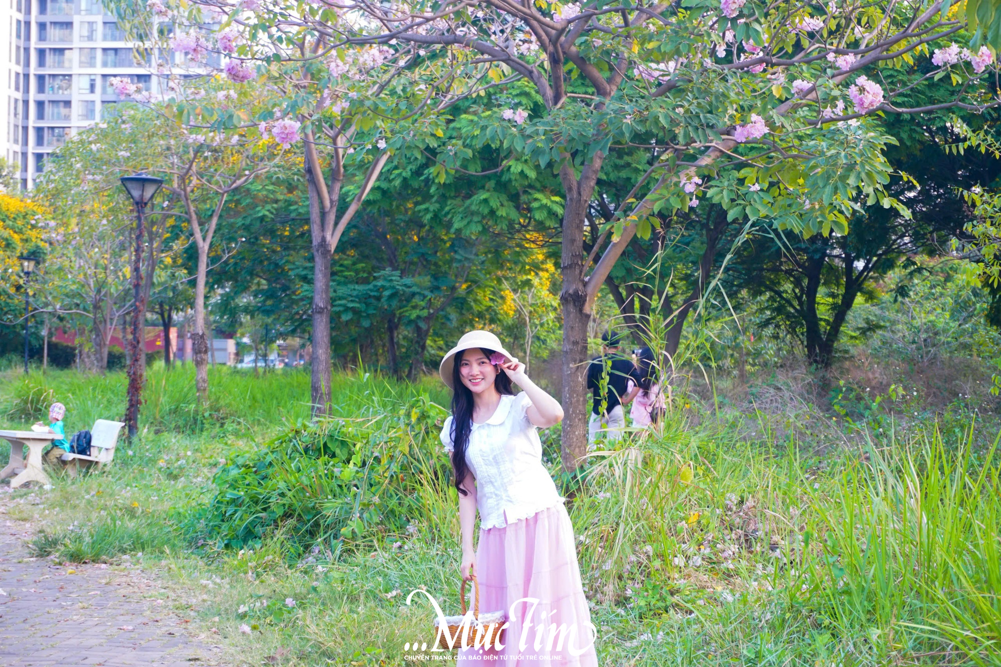 Góc trời hoa kèn hồng ‘hot rần rần’ mạng xã hội thu hút bạn trẻ check-in- Ảnh 1.