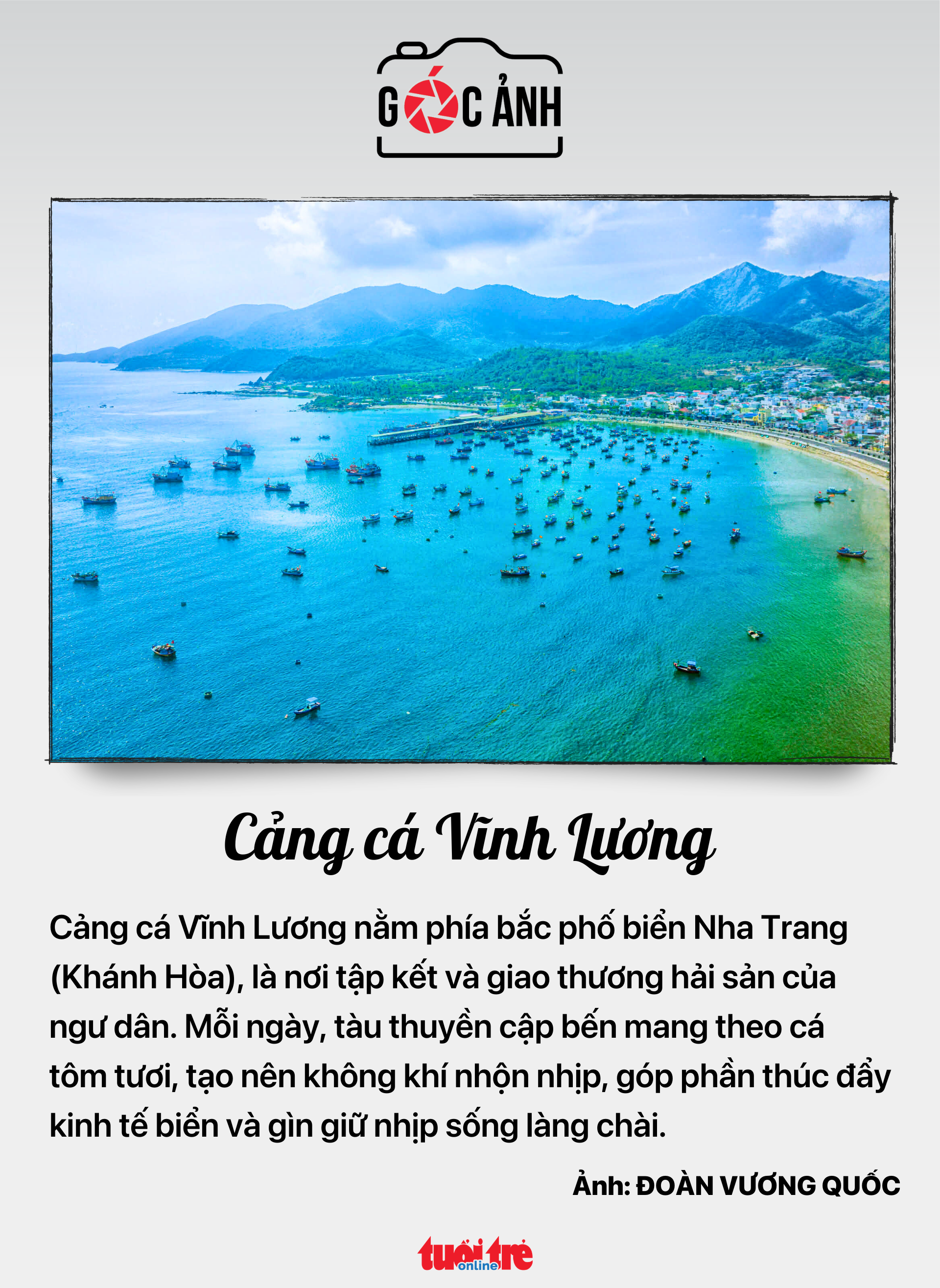 bầu cử - Ảnh 6.