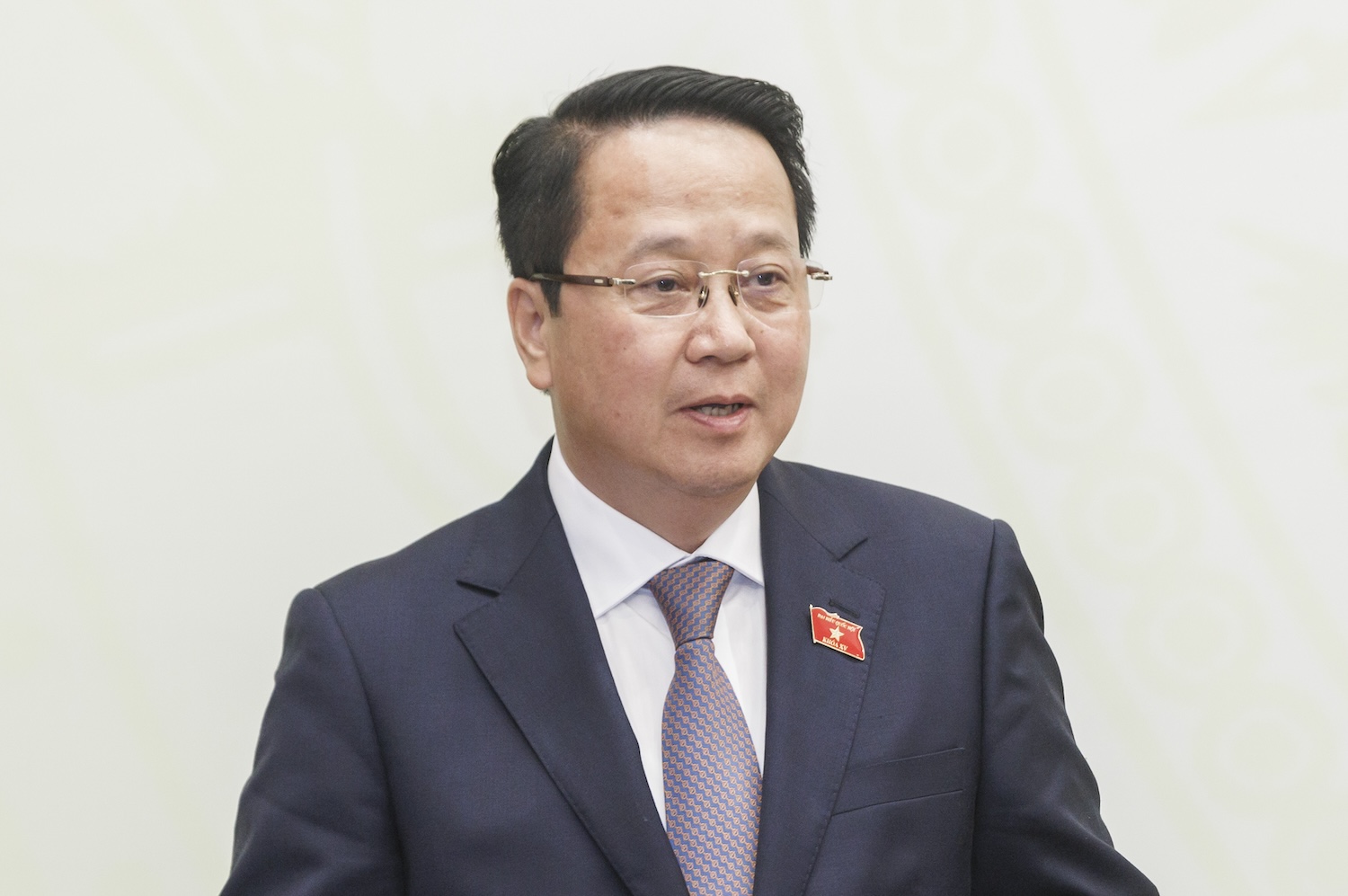 Chưa phát hiện trường hợp ứng cử viên đại biểu Quốc hội nào vi phạm theo đơn khiếu nại, tố cáo - Ảnh 1.