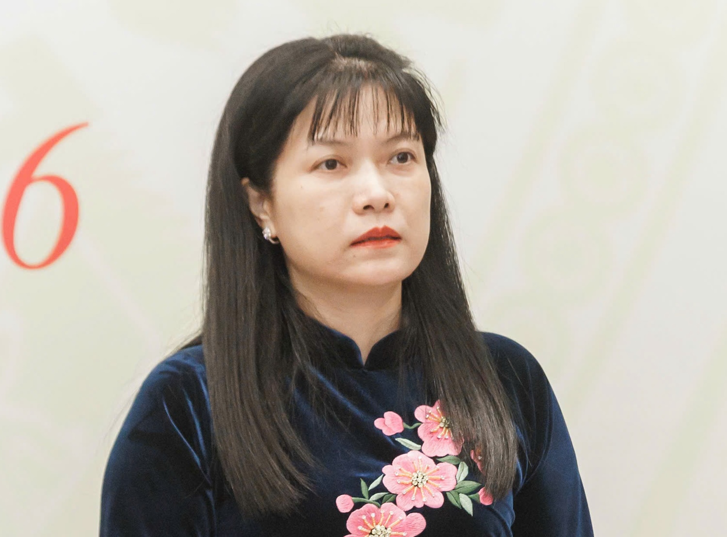 ứng cử viên đại biểu Quốc hội  - Ảnh 2.