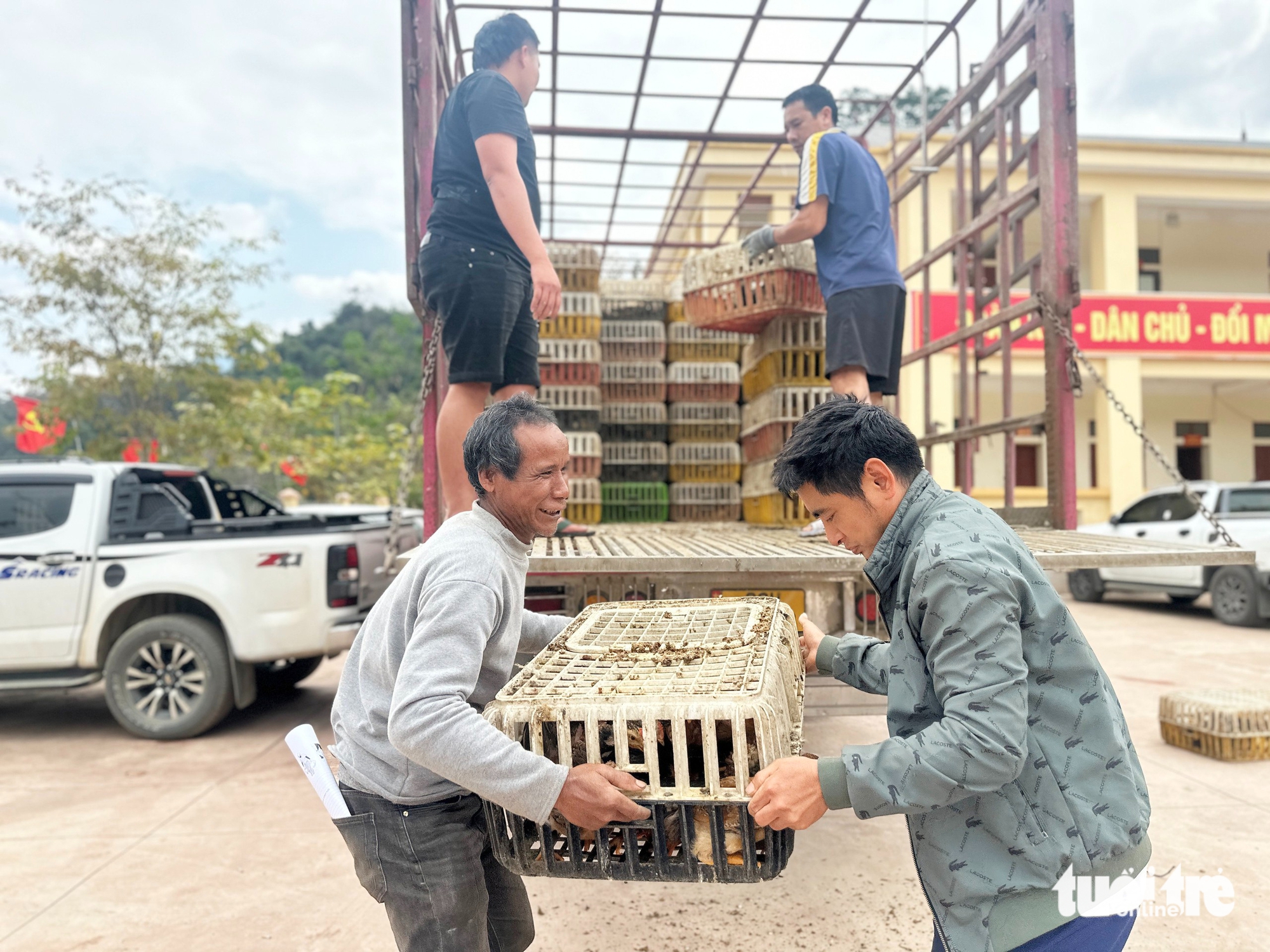 Tâm lũ Mỹ Lý ngày trở lại: Đàn gà giống gây dựng cuộc sống no ấm - Ảnh 3.