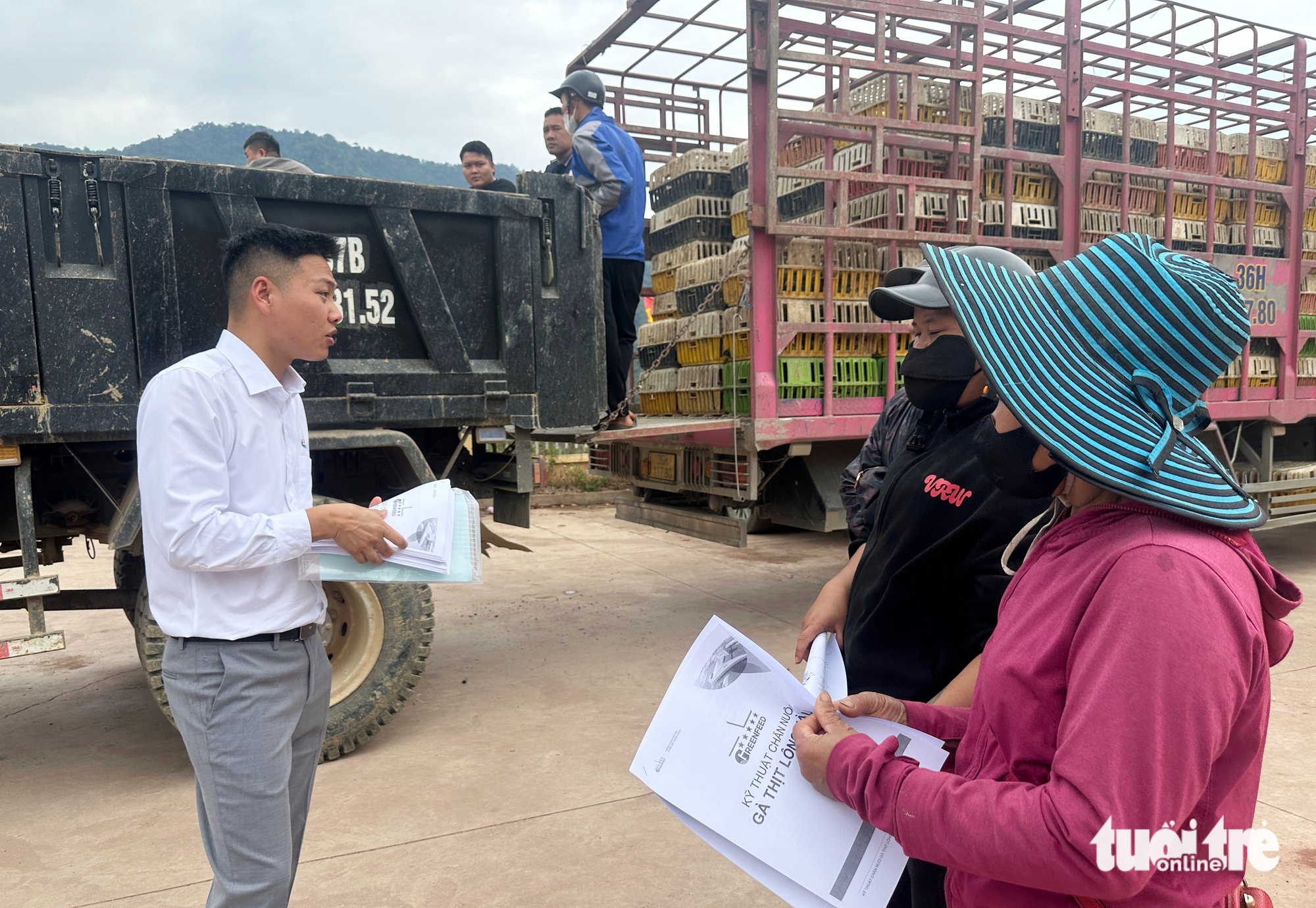 Tâm lũ Mỹ Lý ngày trở lại: Đàn gà giống gây dựng cuộc sống no ấm - Ảnh 5.