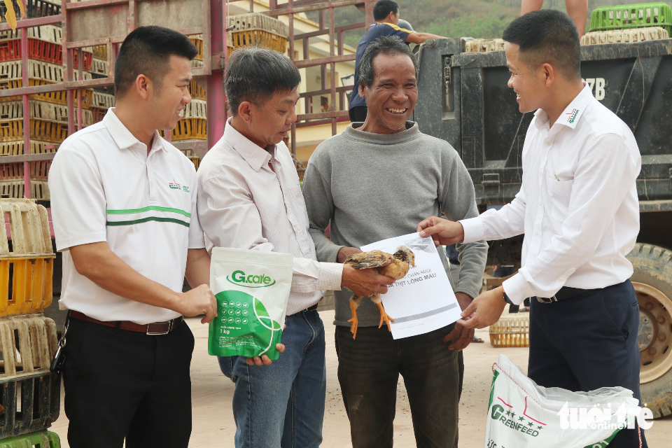 Tâm lũ Mỹ Lý ngày trở lại: Đàn gà giống gây dựng cuộc sống no ấm - Ảnh 6.