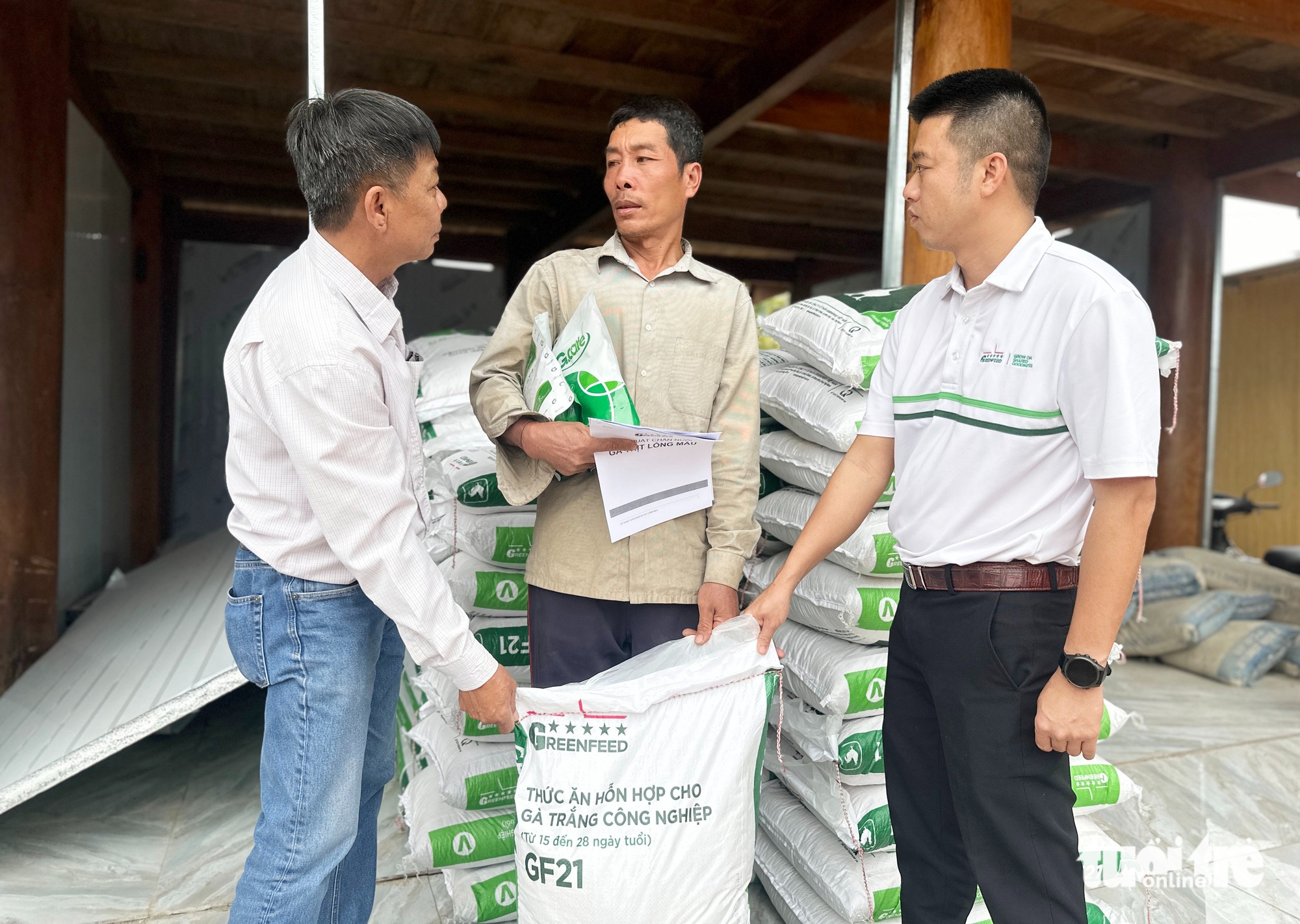 Tâm lũ Mỹ Lý ngày trở lại: Đàn gà giống gây dựng cuộc sống no ấm - Ảnh 8.