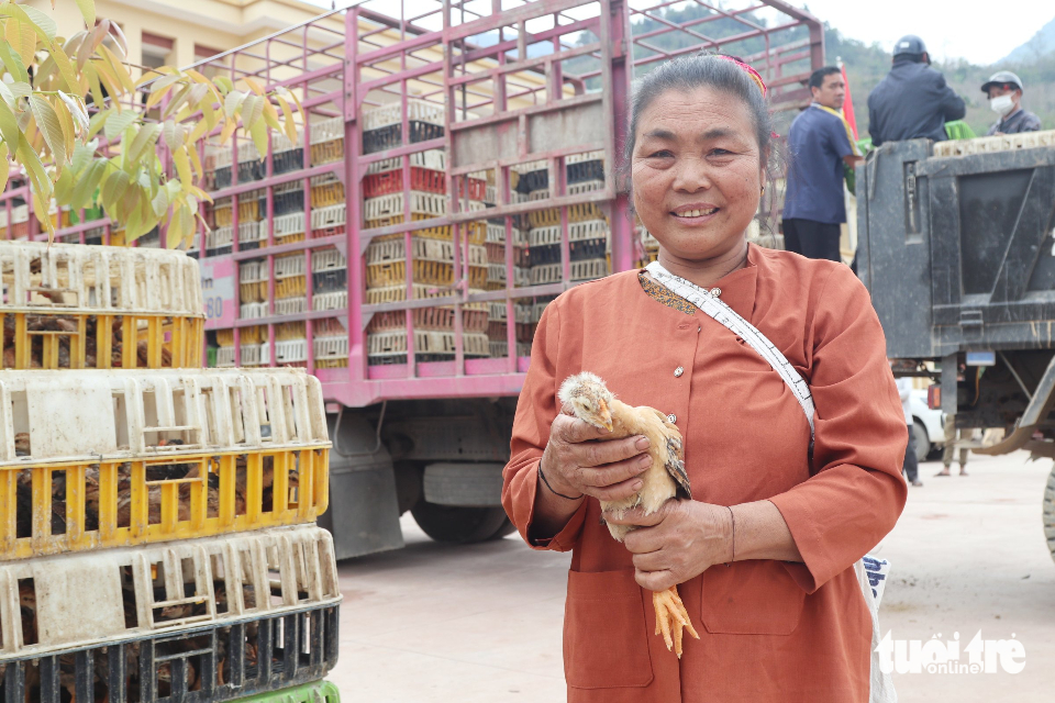 gà giống - Ảnh 12.