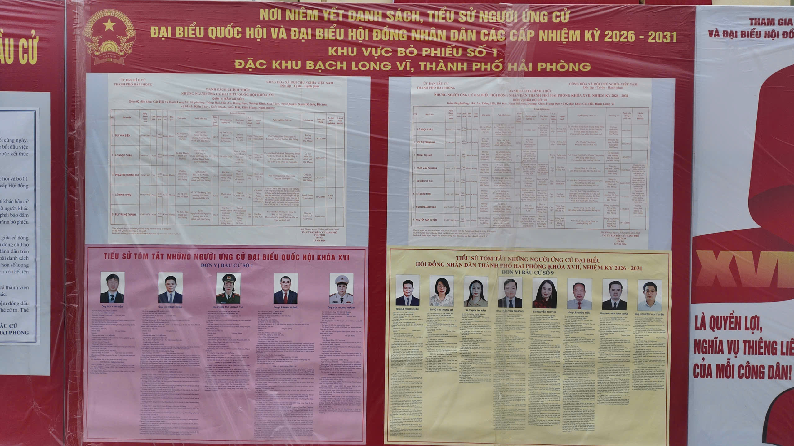 bạch long vĩ - Ảnh 3.