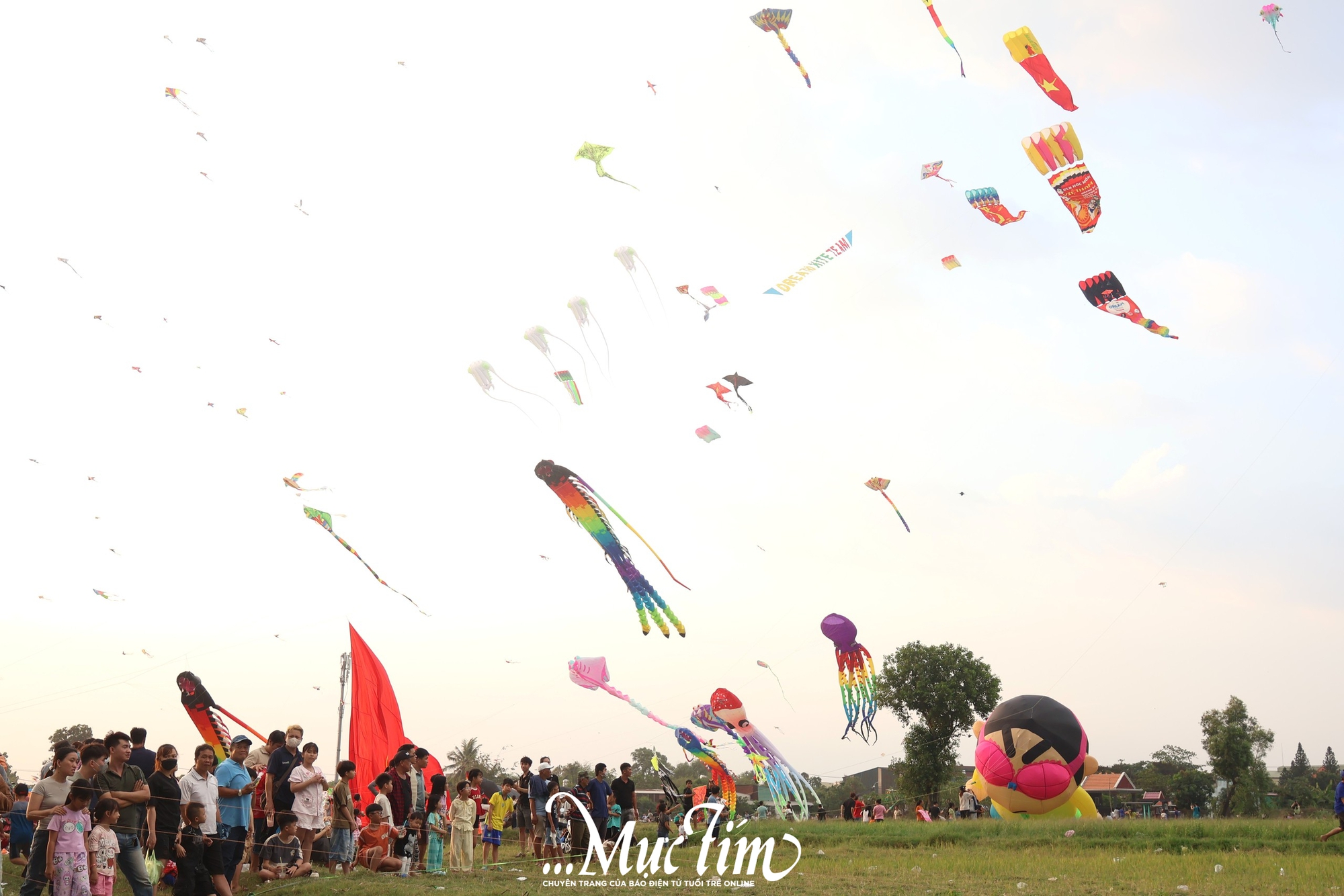 Cánh đồng diều Bà Canh rực rỡ sắc màu tại ngoại ô TP.HCM - Ảnh 2.