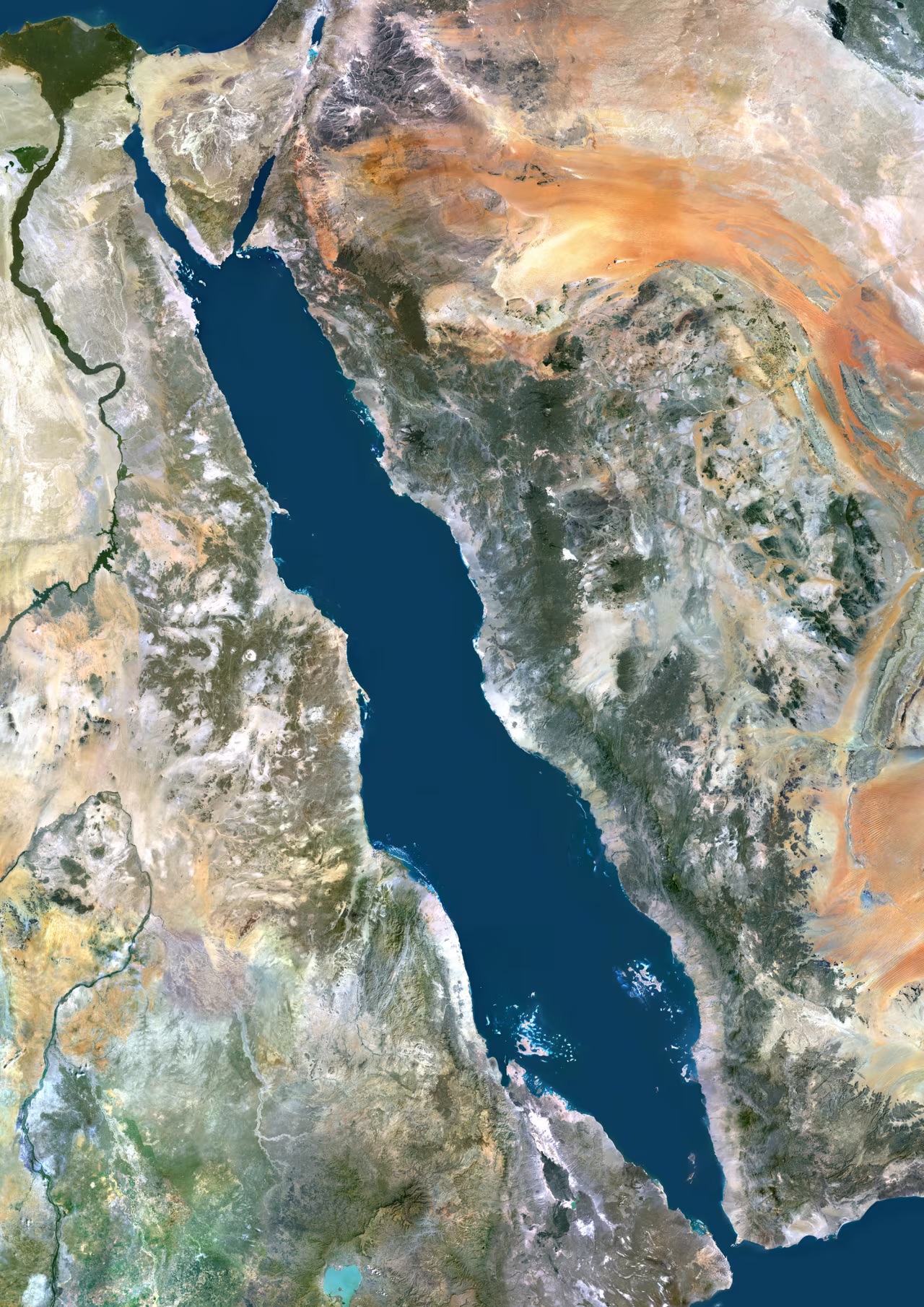 Trung Đông sáng 22-7: Mỹ đánh Iran đêm thứ 11; Tàu dầu quay đầu ở Biển Đỏ - Ảnh 2.