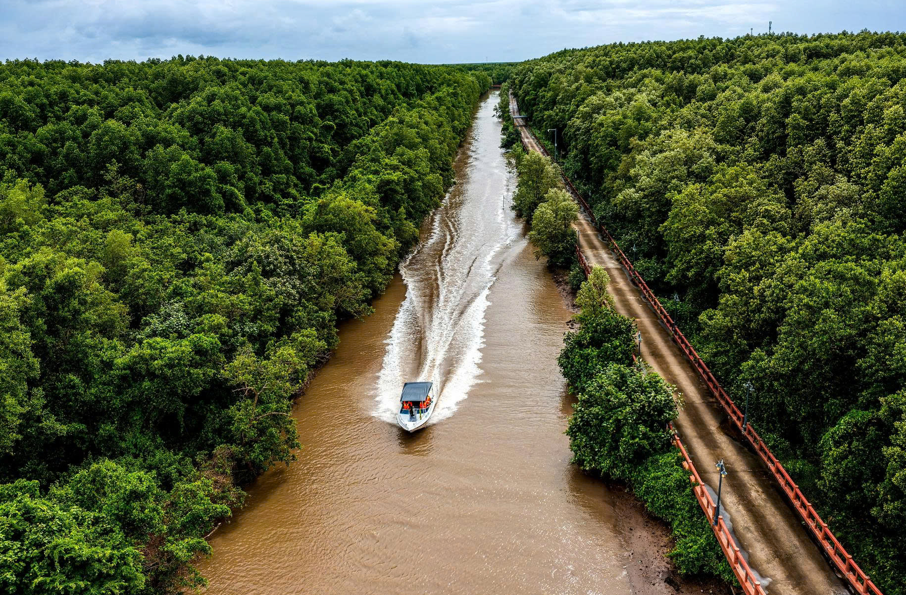 Lâm Tấn Tài - Ảnh 6.