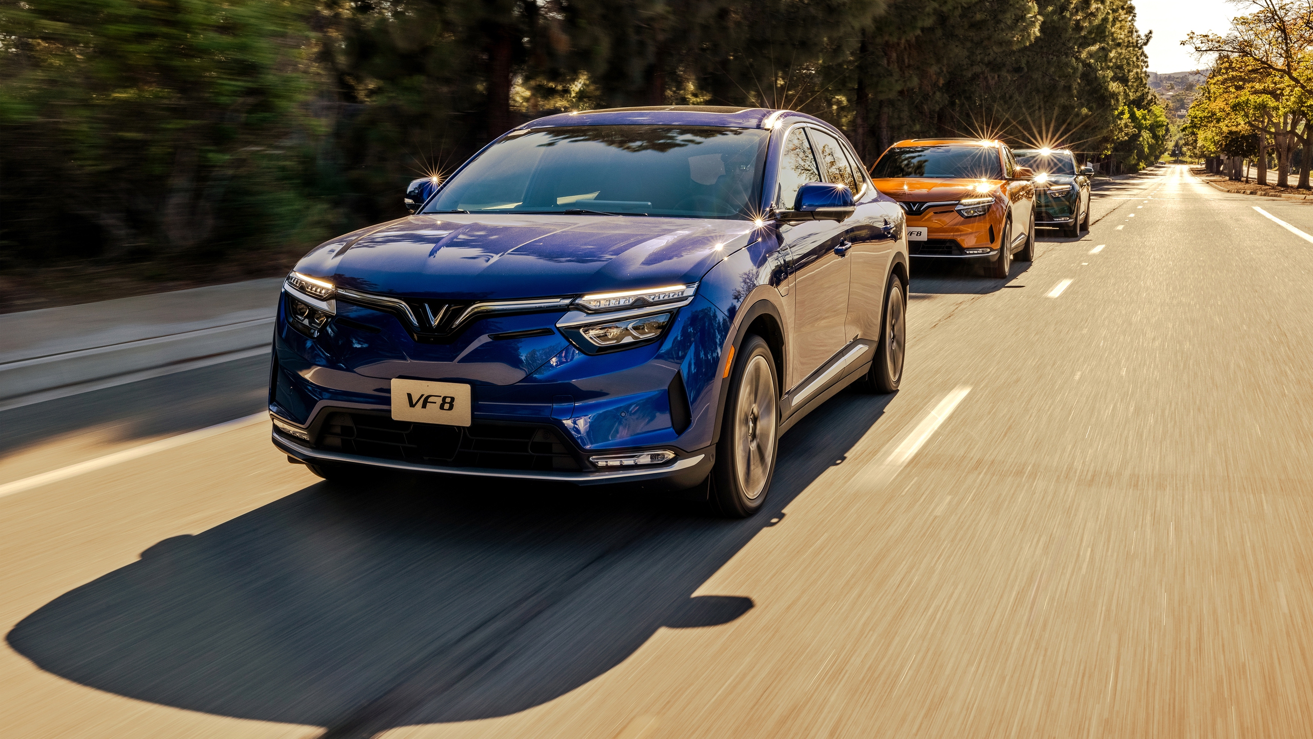 Nhờ đâu VinFast của tỉ phú Phạm Nhật Vượng ‘có sẵn’ nguồn lực gần 78.300 tỉ đồng để chi tiêu? - Ảnh 1.