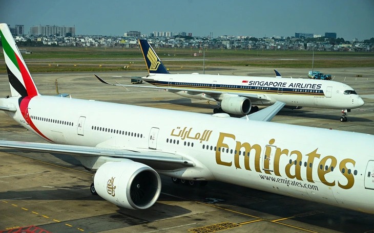 Online registration opens for Vietnamese citizens seeking to leave Middle East- Ảnh 1.