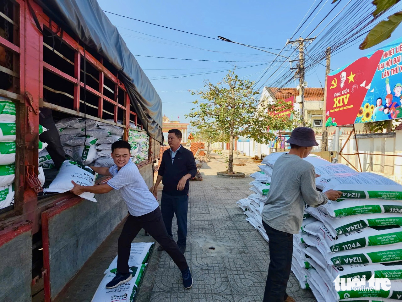 gà giống - Ảnh 4.