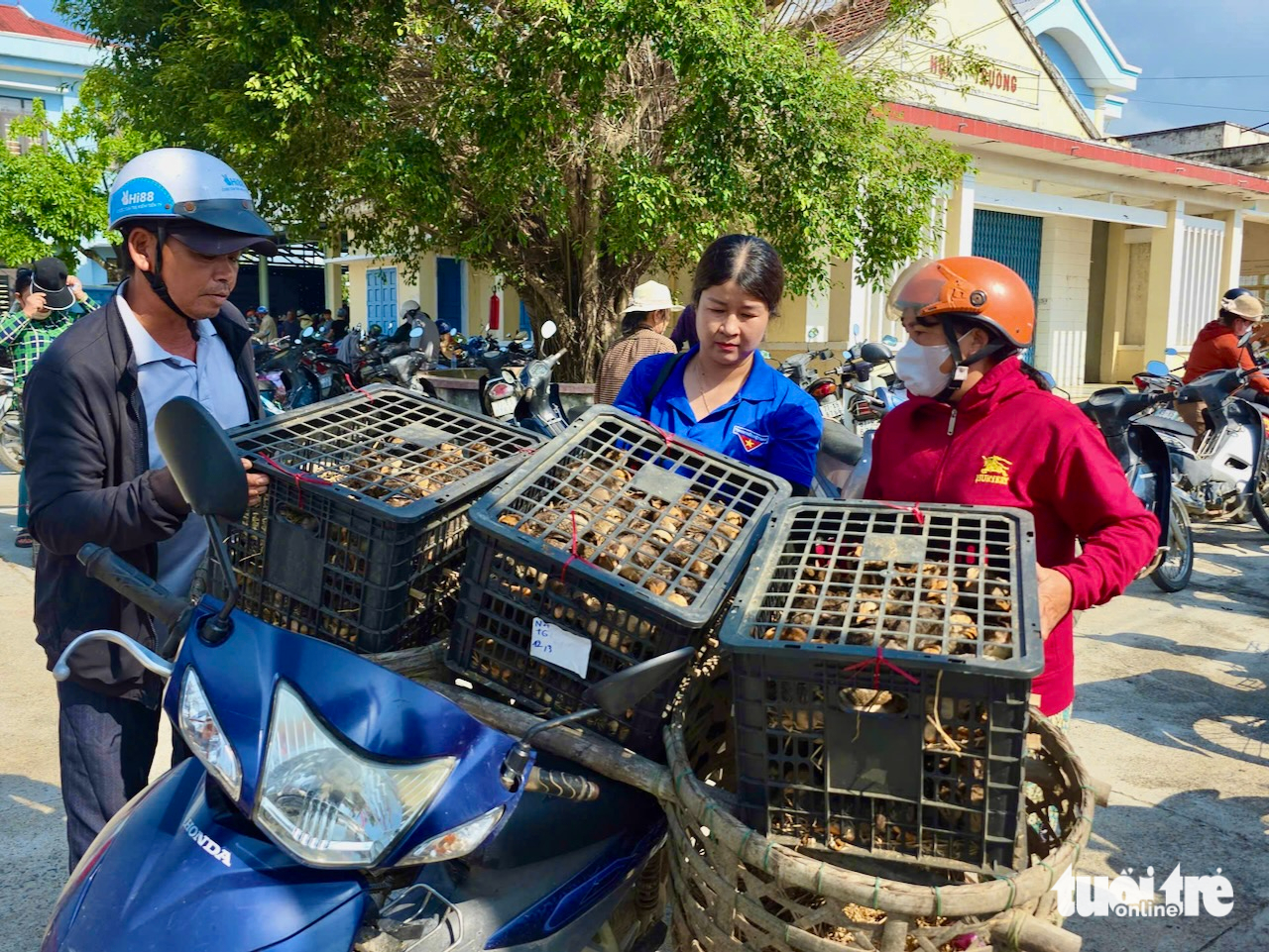Mất đàn gà sau lũ, người dân Bình Định vui mừng nhận gà giống để tái đàn - Ảnh 6.