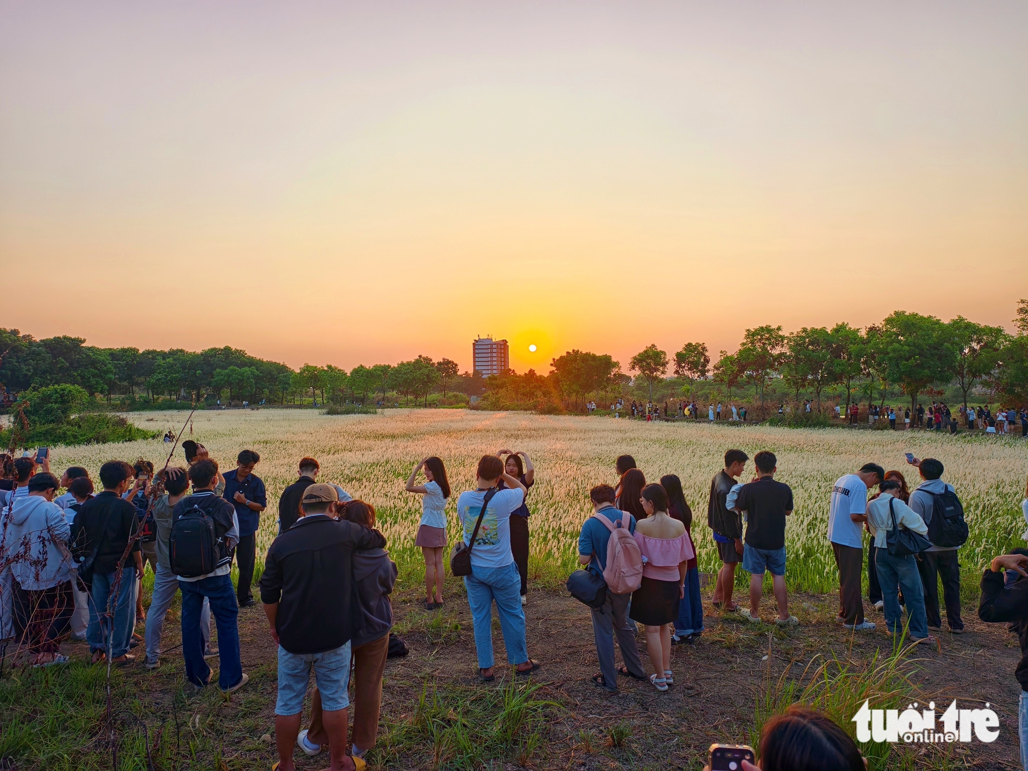 Đồng cỏ thơ mộng tại làng đại học hút khách 'săn' hoàng hôn, check-in - Ảnh 1.