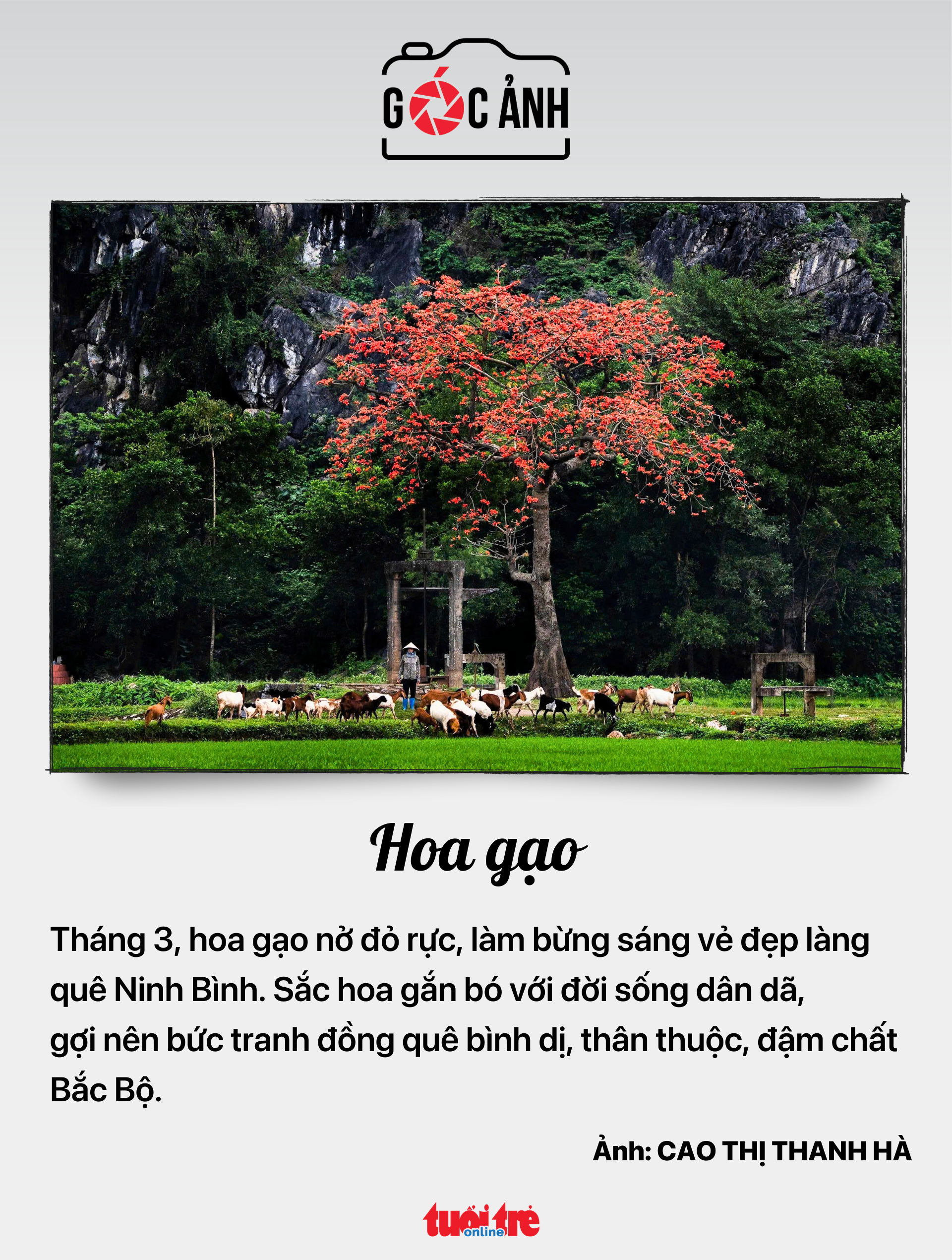 tin tức - Ảnh 6.