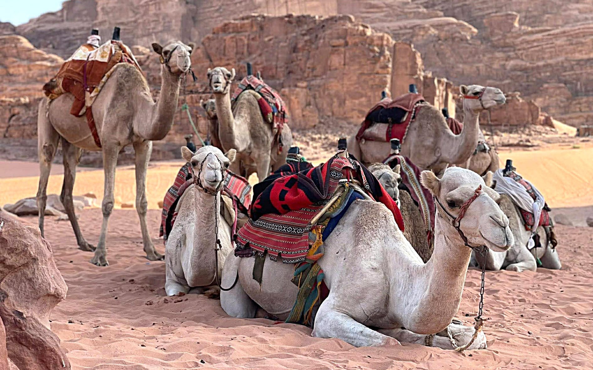 Middle East airlines cancel more Vietnam flights amid airspace closures- Ảnh 2. Middle East airlines cancel more Vietnam flights amid airspace closures- Ảnh 2.