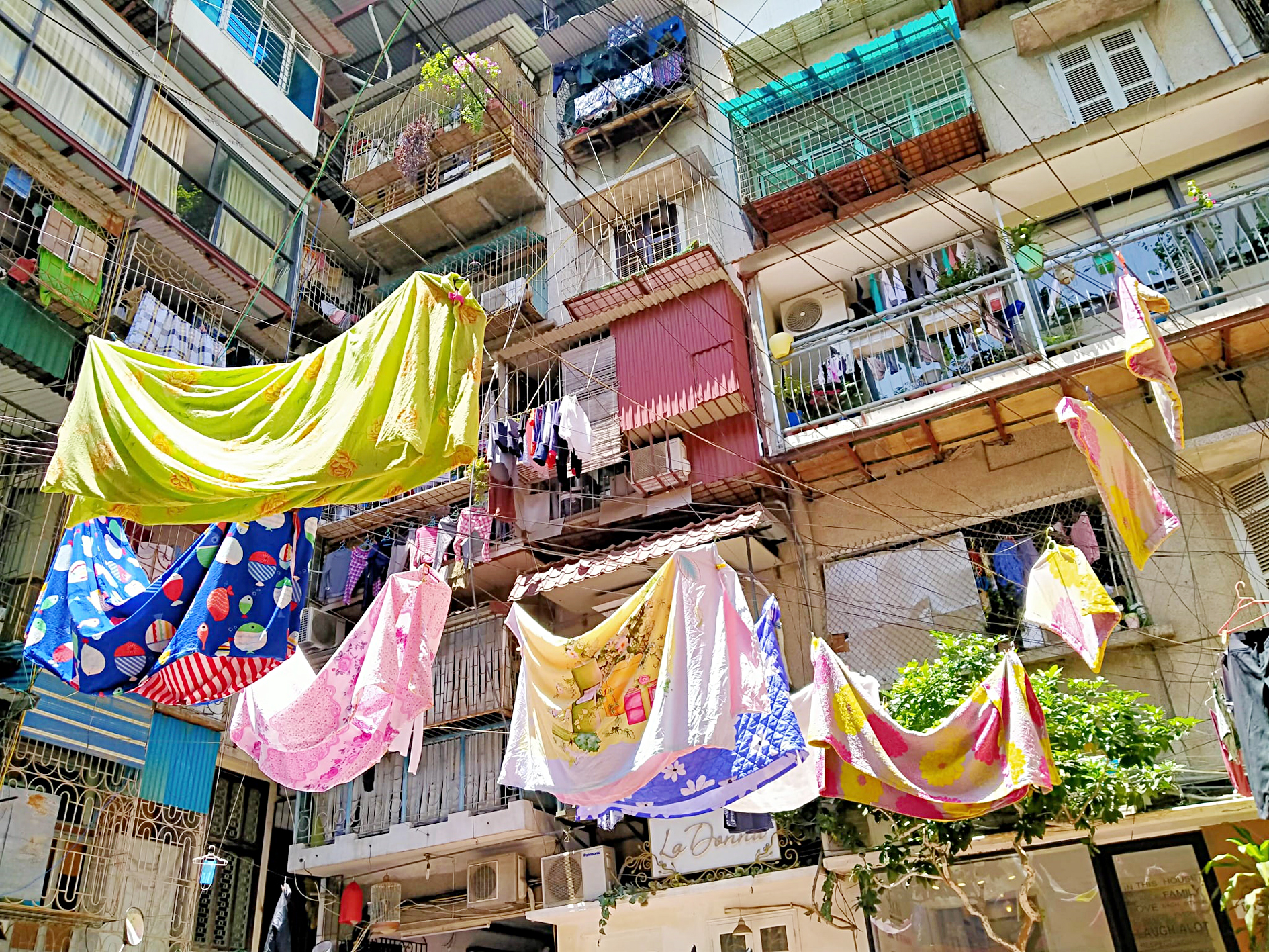 tập thể - Ảnh 1.