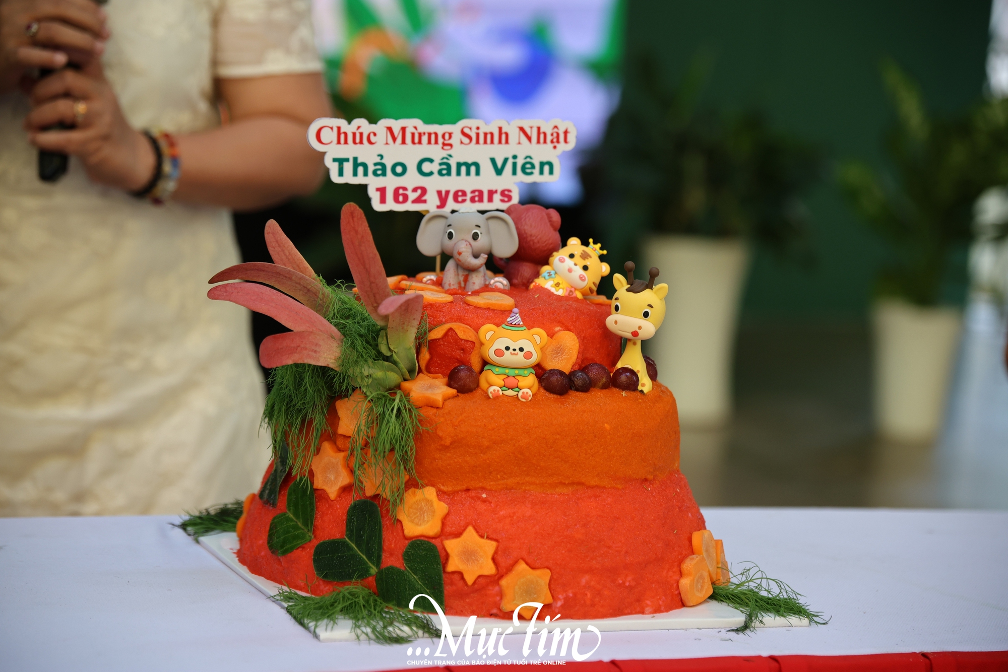 Mừng sinh nhật 162 năm Thảo cầm viên, “fan cứng” hào hứng lên đồ trẩy hội- Ảnh 2. Mừng sinh nhật 162 năm Thảo cầm viên, “fan cứng” hào hứng lên đồ trẩy hội- Ảnh 2.