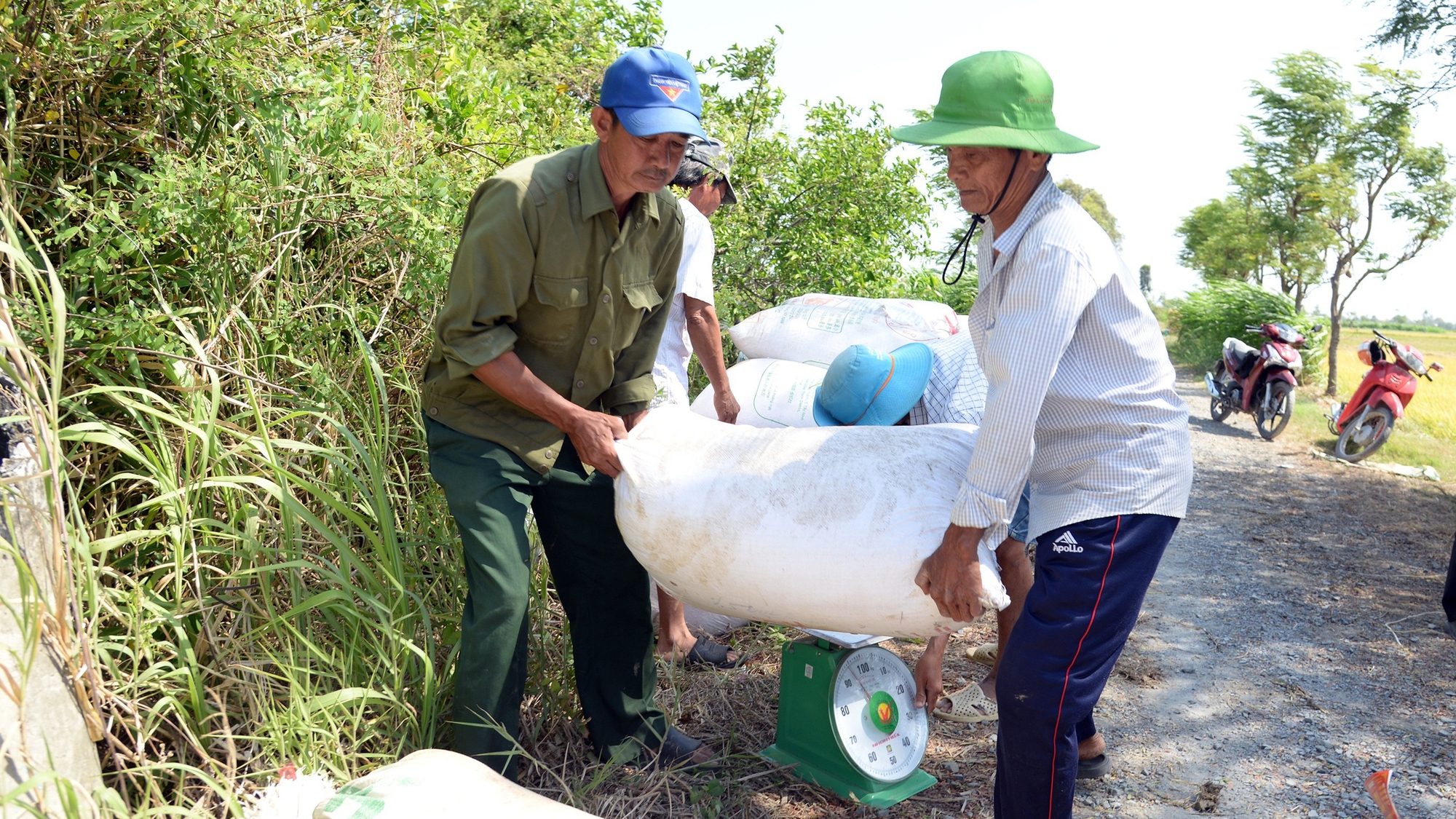 nông sản - Ảnh 1.