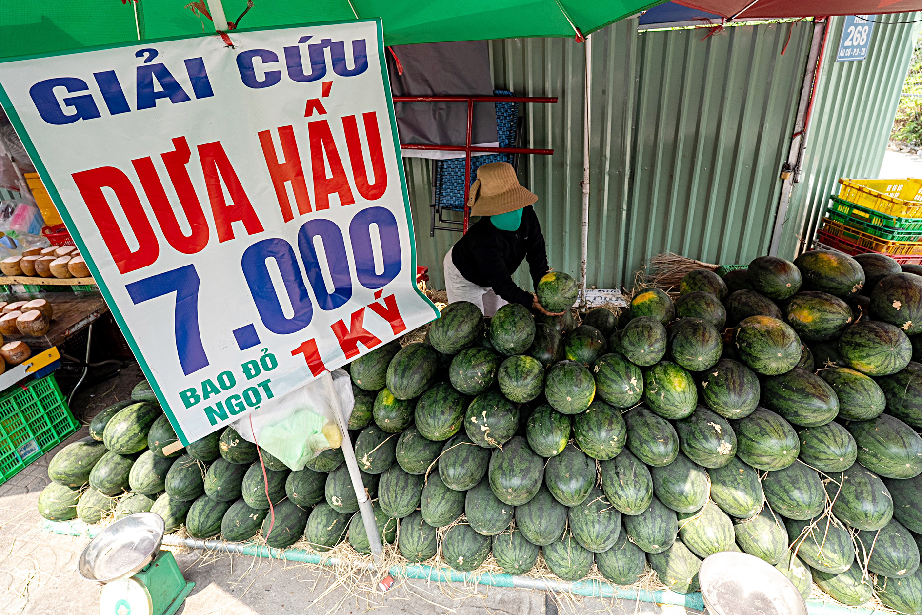 giá trái cây - Ảnh 1.