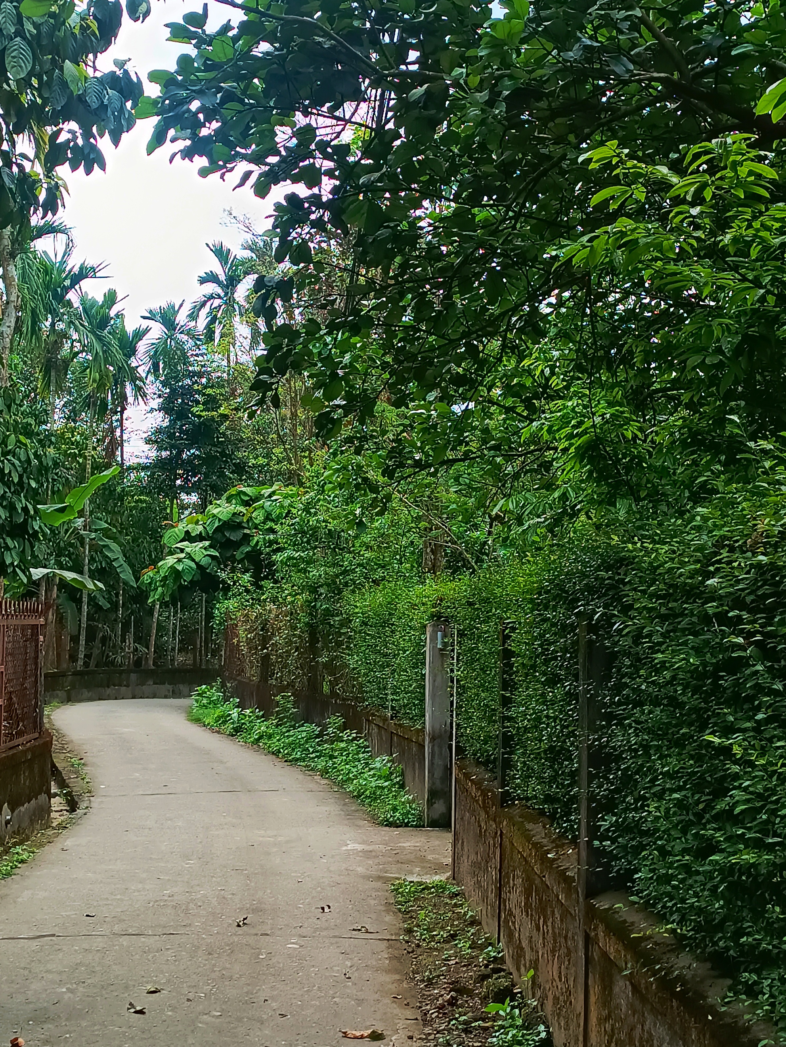 Làng cổ Thủy Biểu - Ảnh 2.