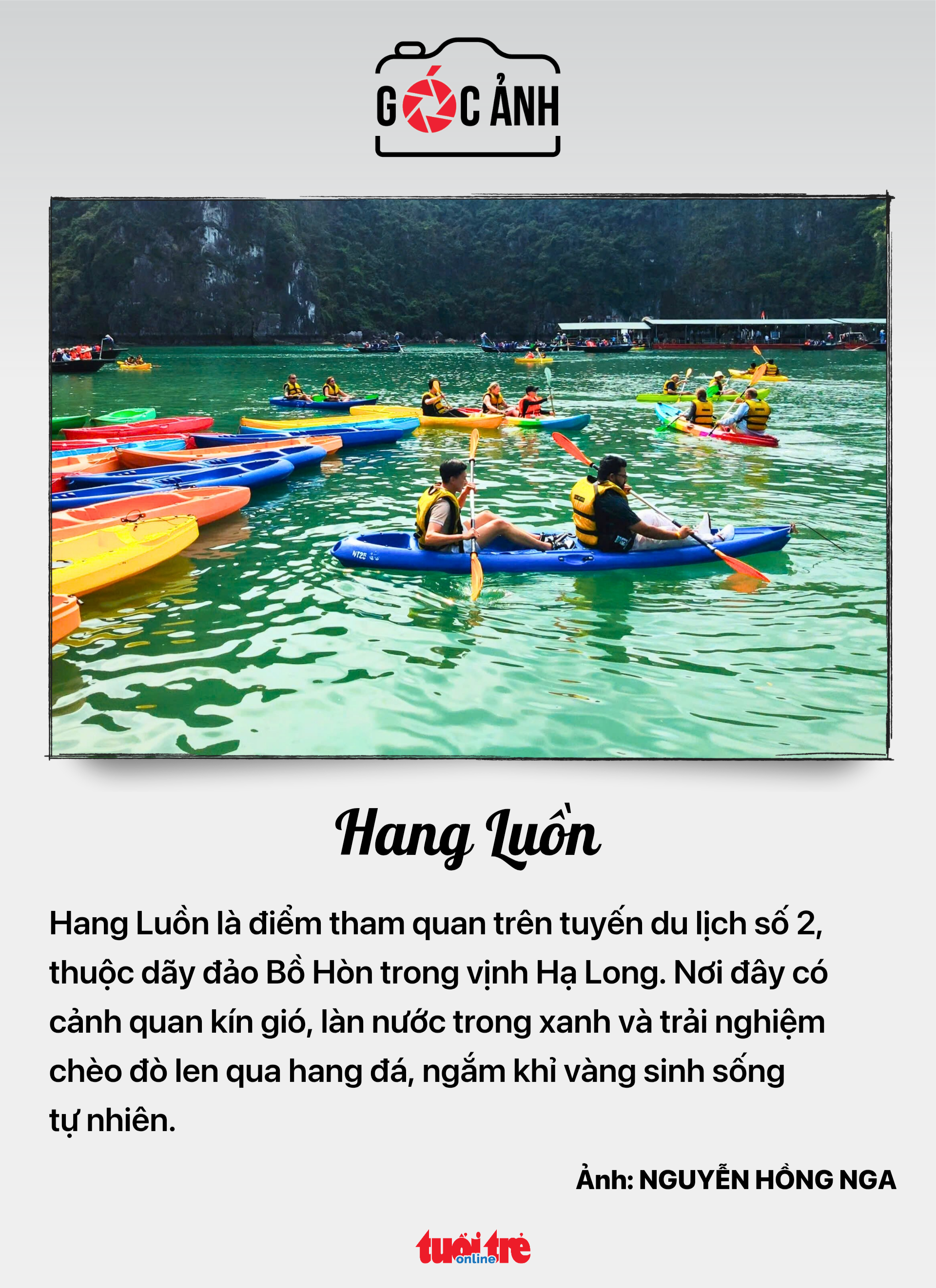 tin tức - Ảnh 5.